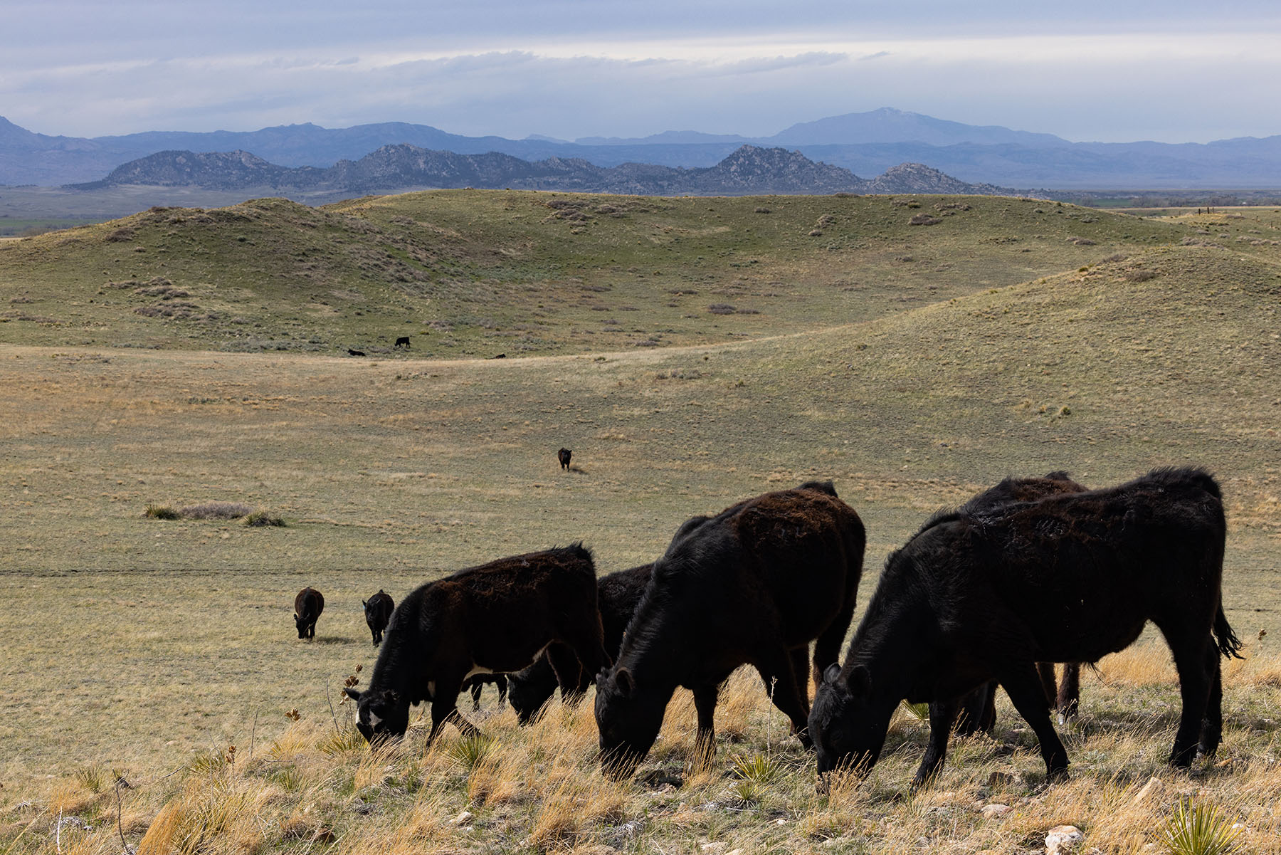 Tyler & Nettie Dodge Ranch property picture 42 of 50