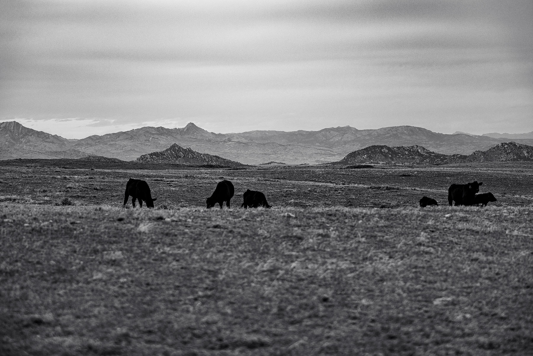 Tyler & Nettie Dodge Ranch property picture 35 of 50