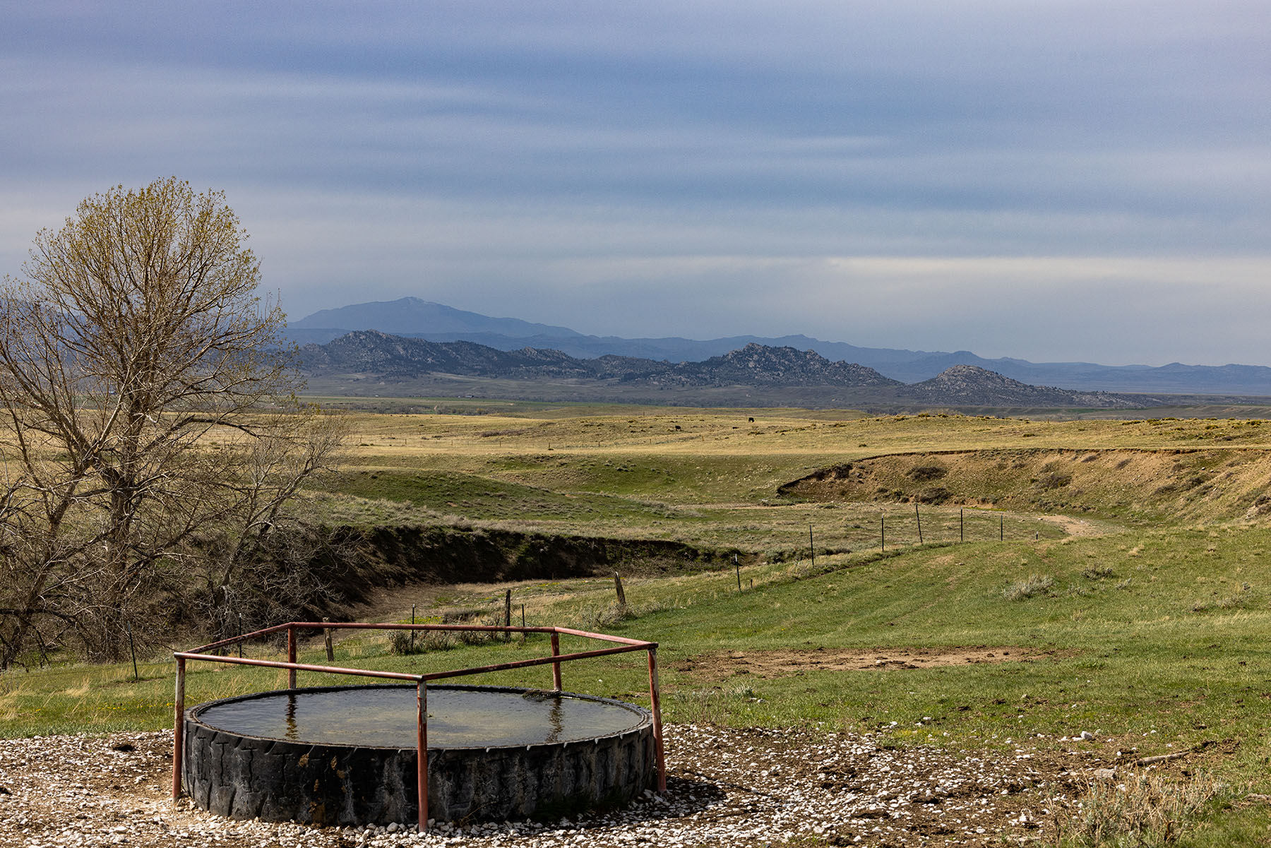 Tyler & Nettie Dodge Ranch property picture 4 of 50