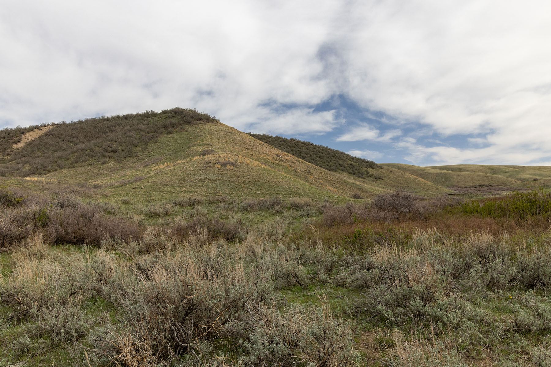 Tyler & Nettie Dodge Ranch property picture 47 of 50