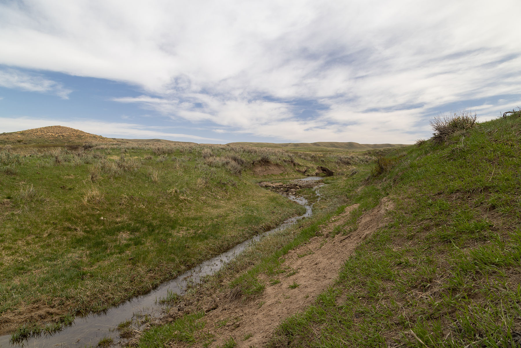 Tyler & Nettie Dodge Ranch property picture 37 of 50