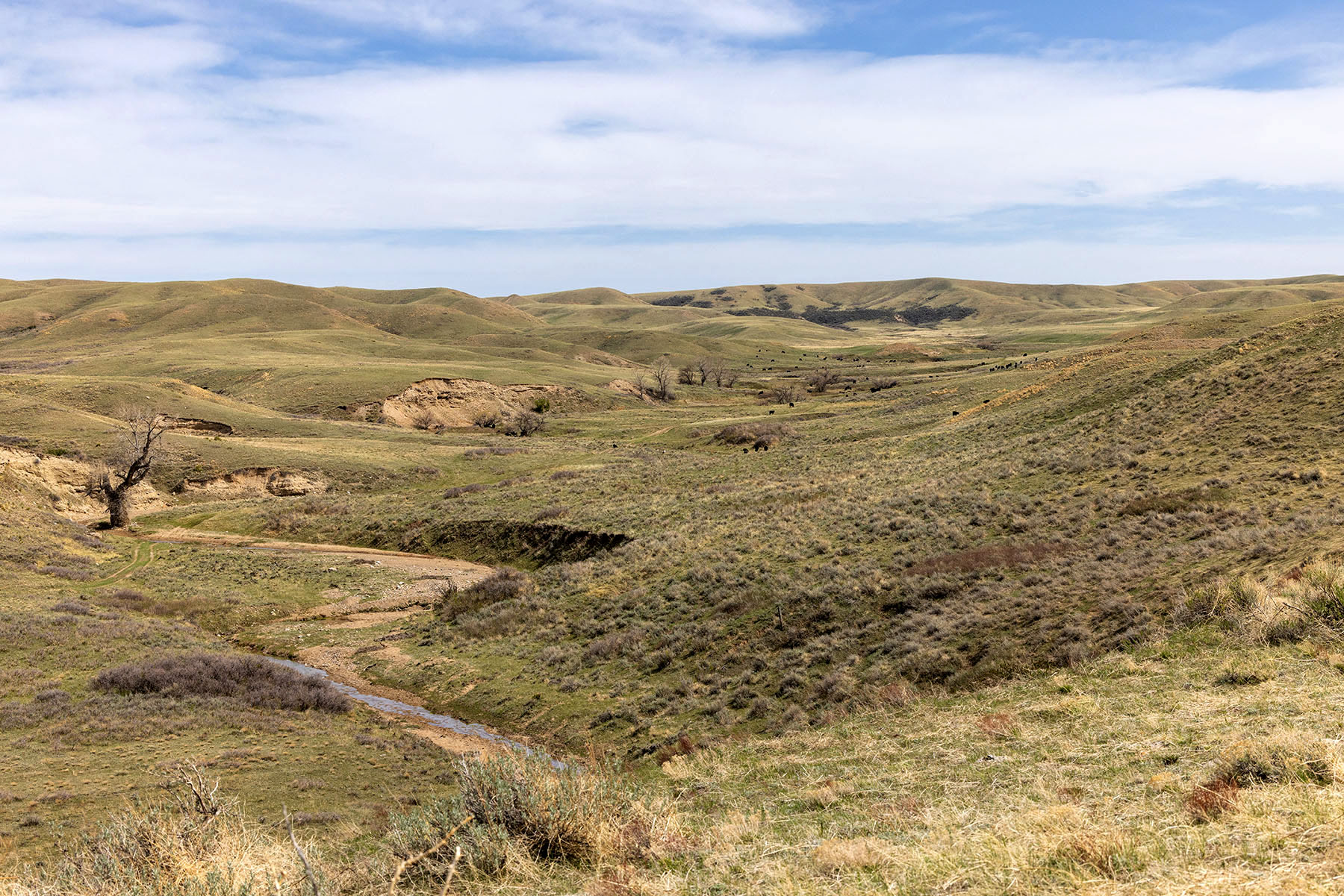Tyler & Nettie Dodge Ranch property picture 44 of 50