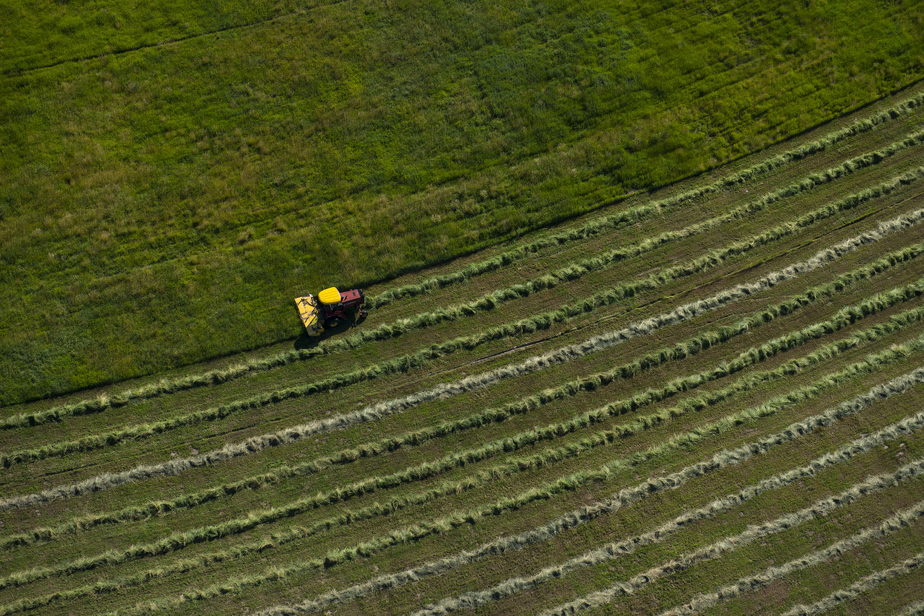 Tyler & Nettie Dodge Ranch property picture 8 of 50