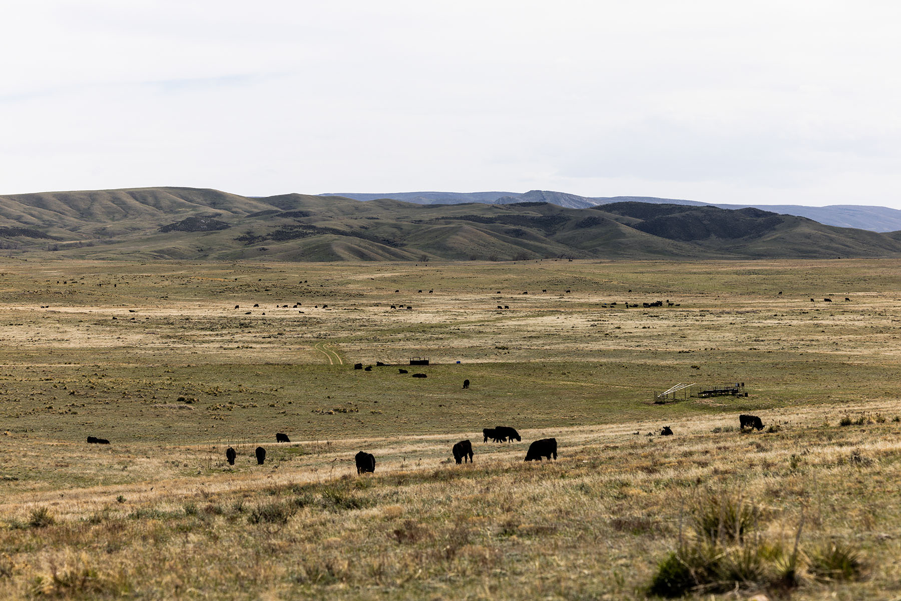 Tyler & Nettie Dodge Ranch property picture 40 of 50