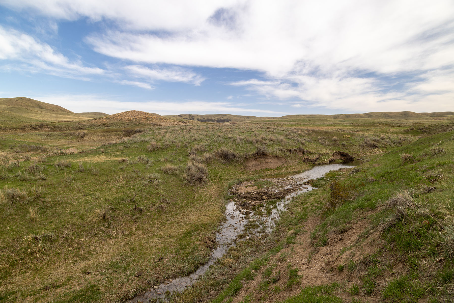 Tyler & Nettie Dodge Ranch property picture 28 of 50