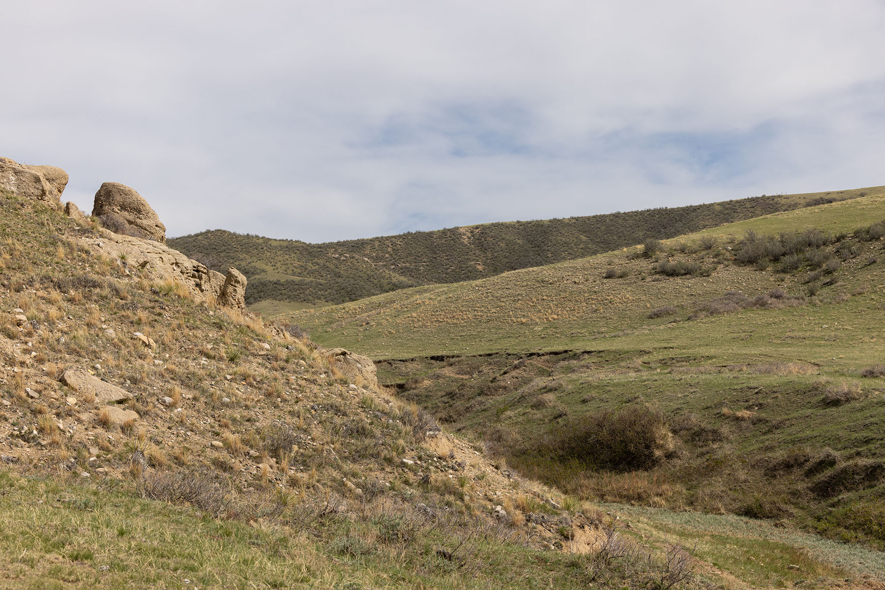 Tyler & Nettie Dodge Ranch property picture 46 of 50