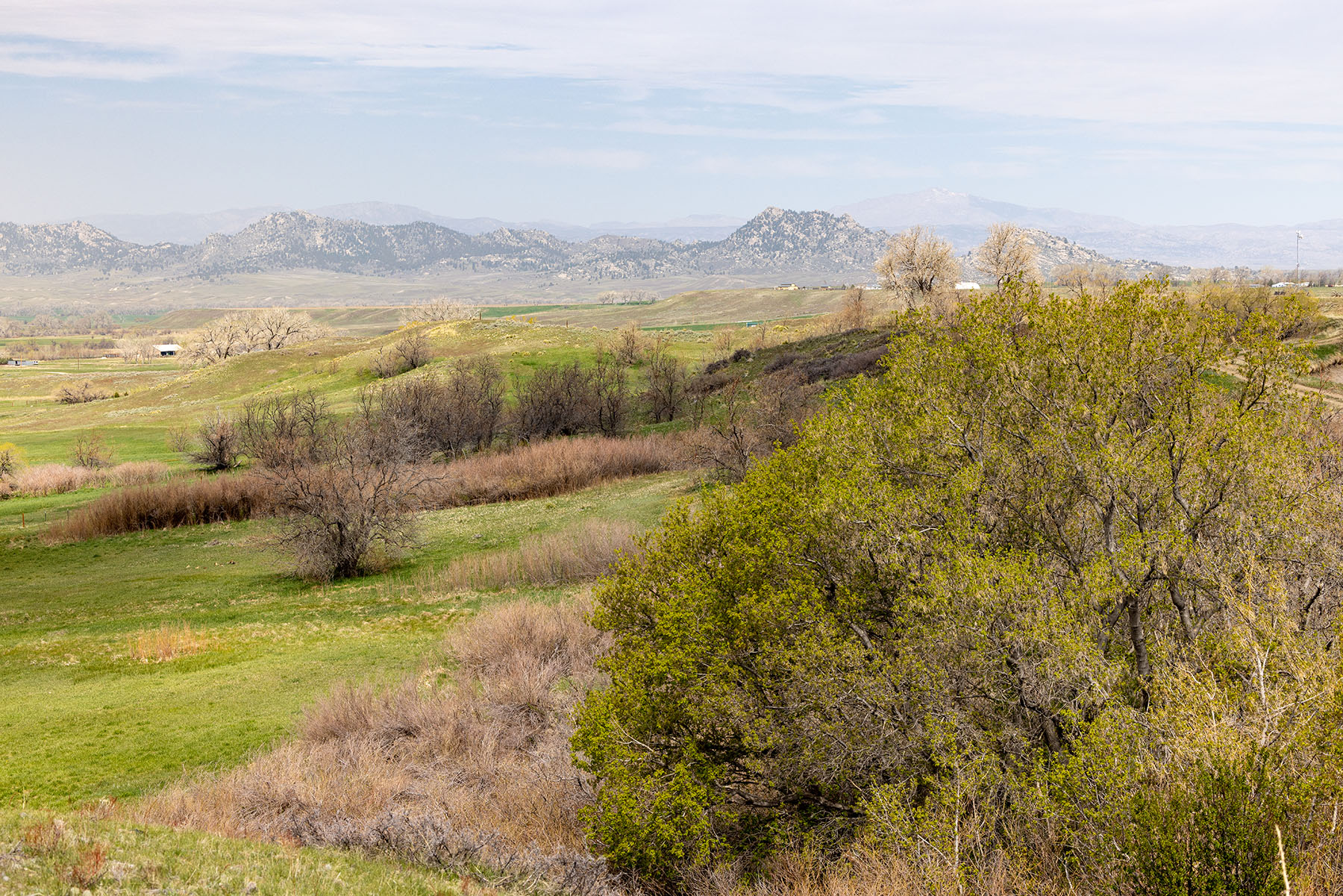 Tyler & Nettie Dodge Ranch property picture 29 of 50
