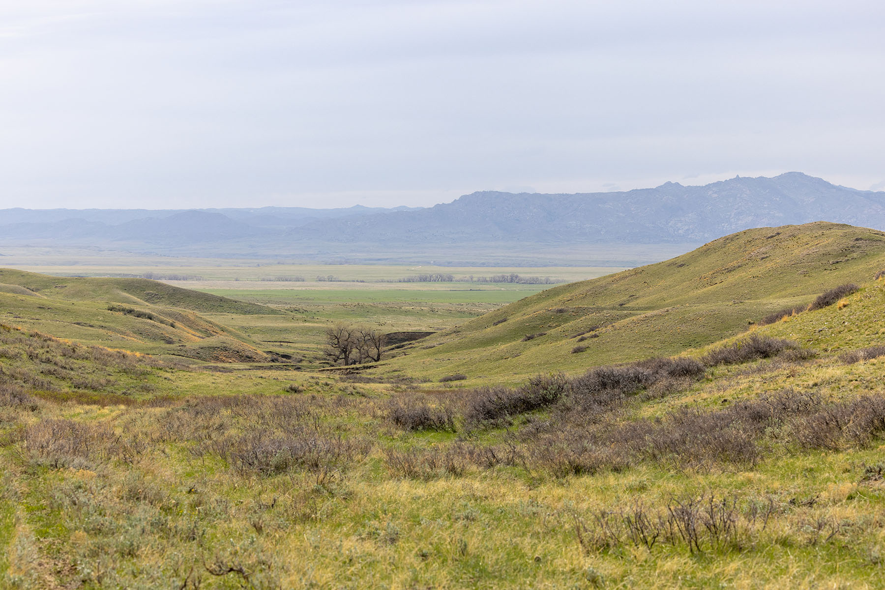Tyler & Nettie Dodge Ranch property picture 43 of 50