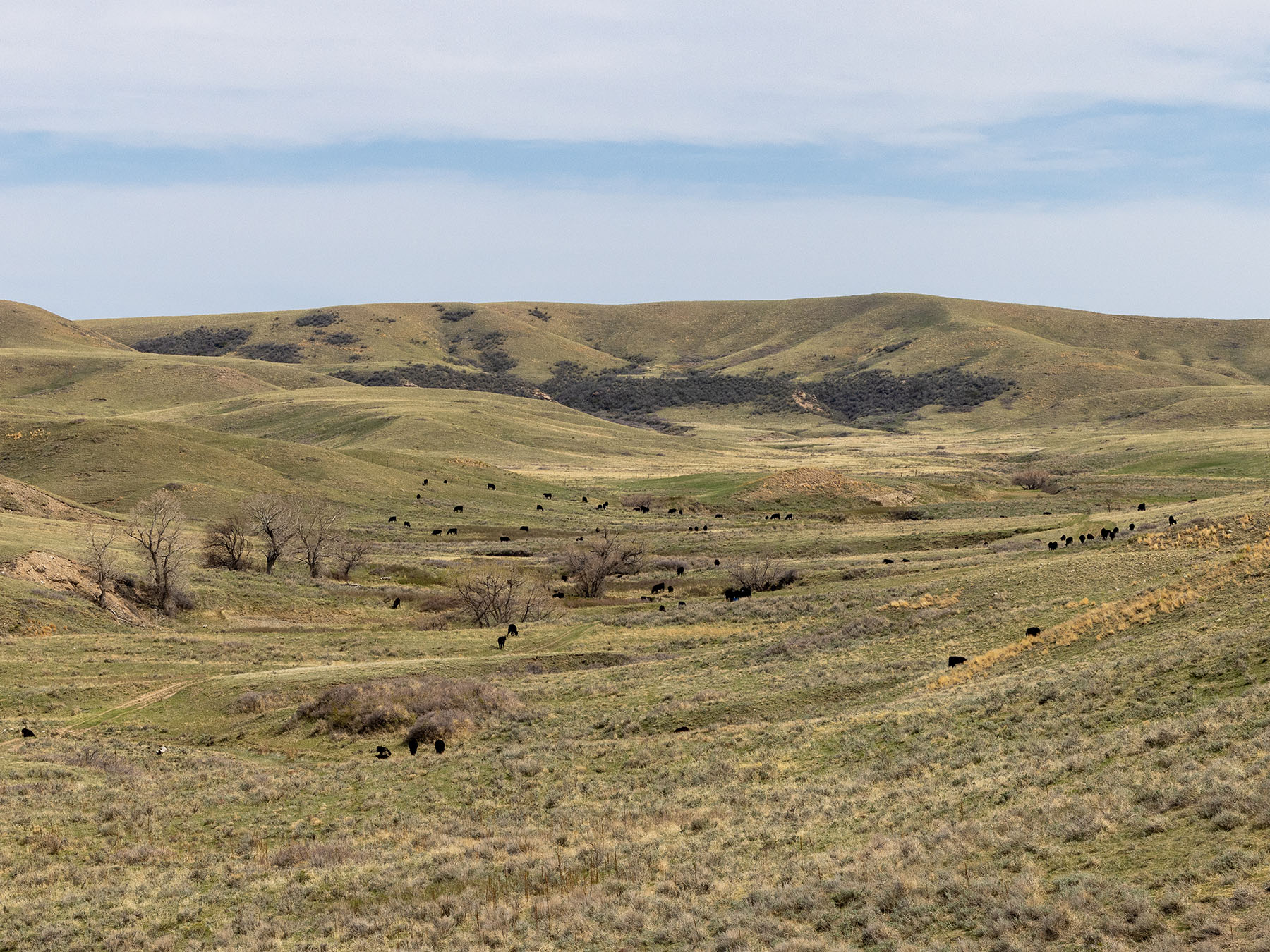 Tyler & Nettie Dodge Ranch property picture 45 of 50