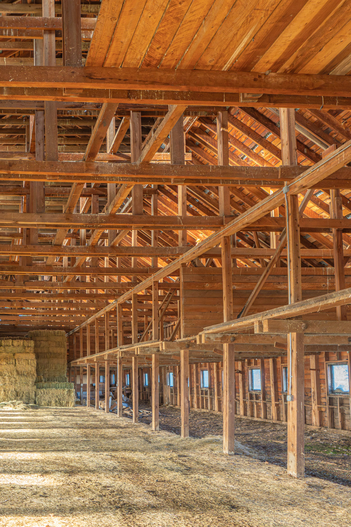 Island Ranch property picture 93 of 116