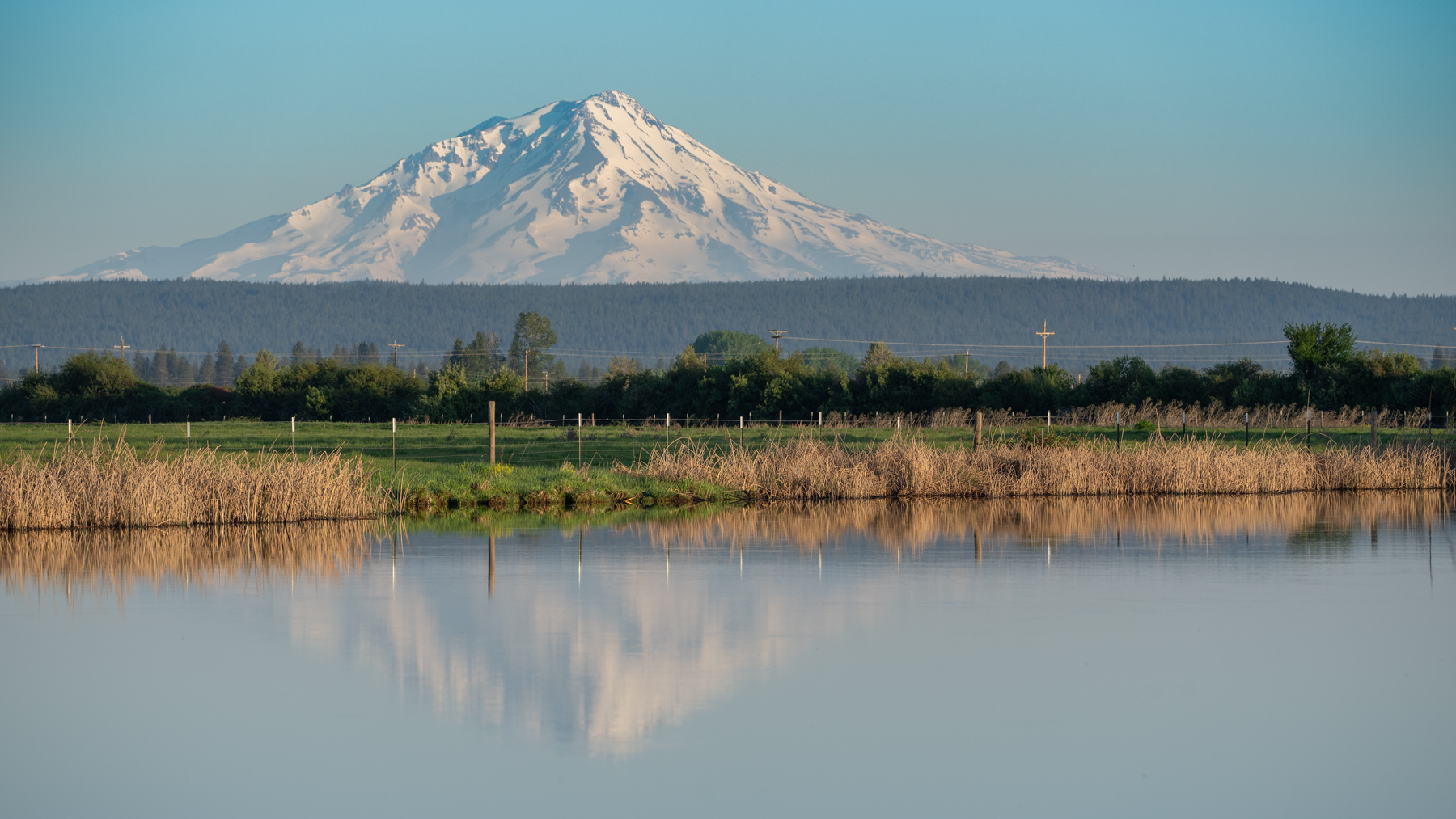 Island Ranch property picture 16 of 116