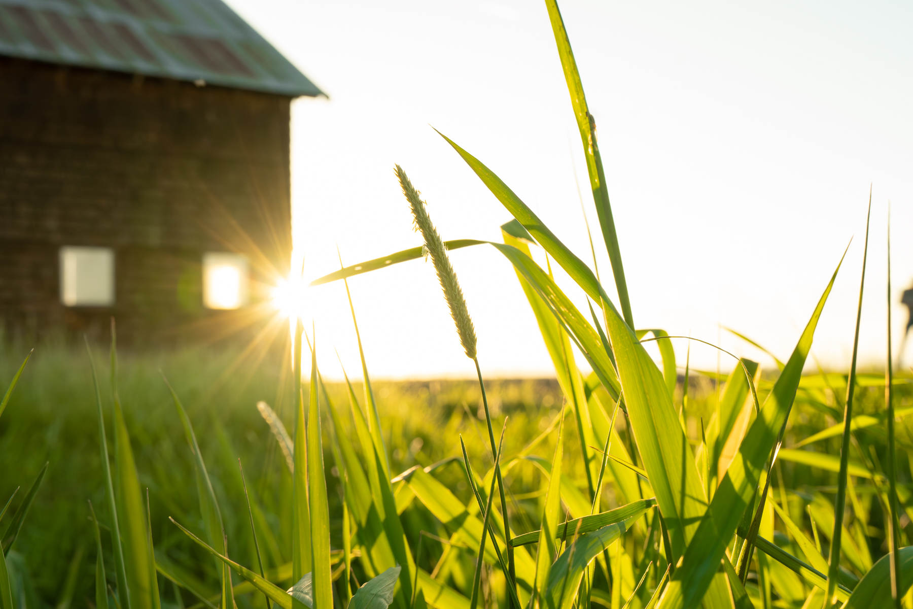 Island Ranch property picture 79 of 116