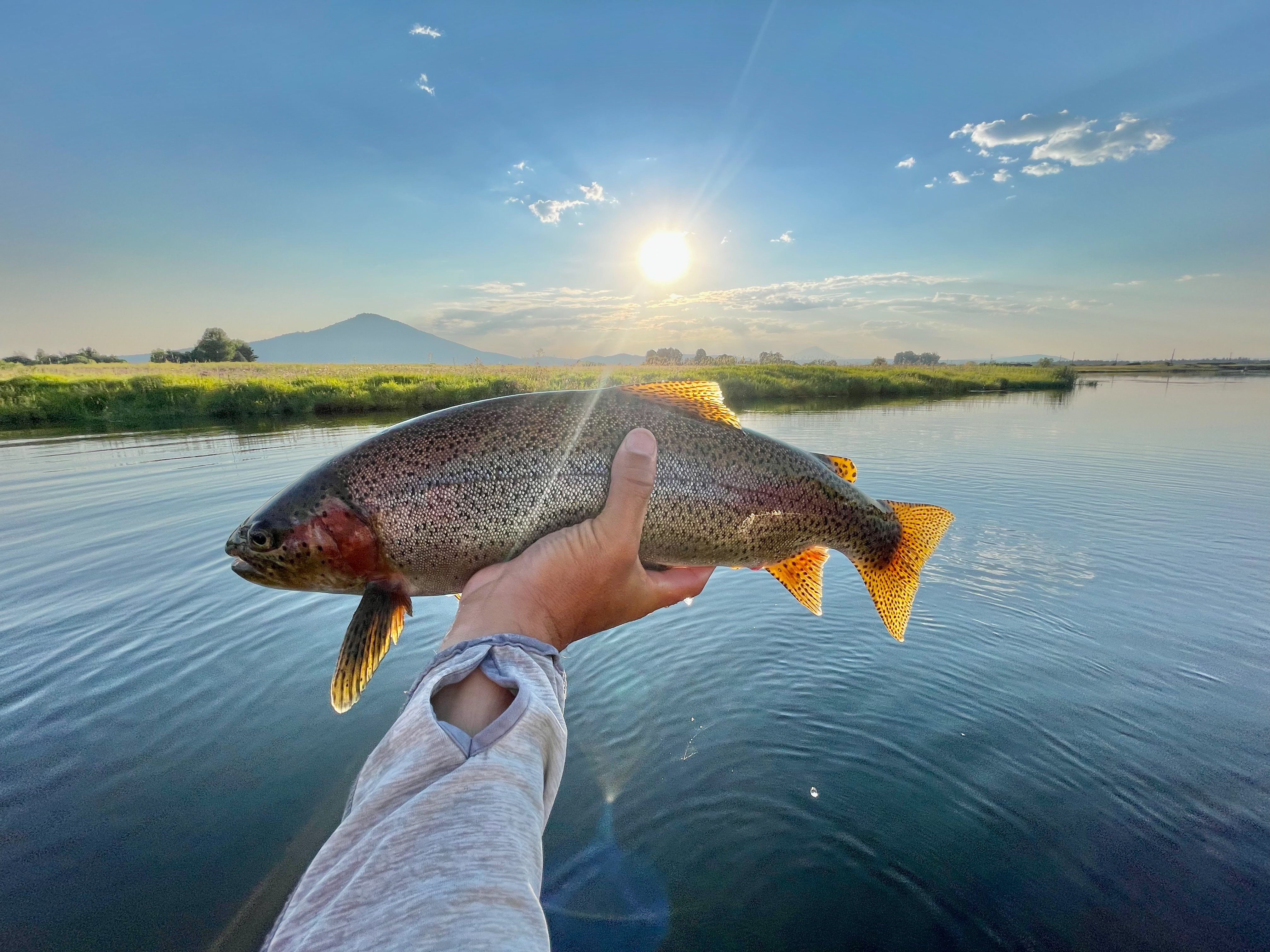 Island Ranch property picture 114 of 116