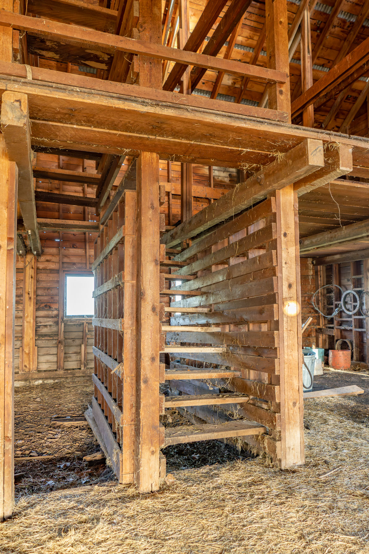 Island Ranch property picture 95 of 116