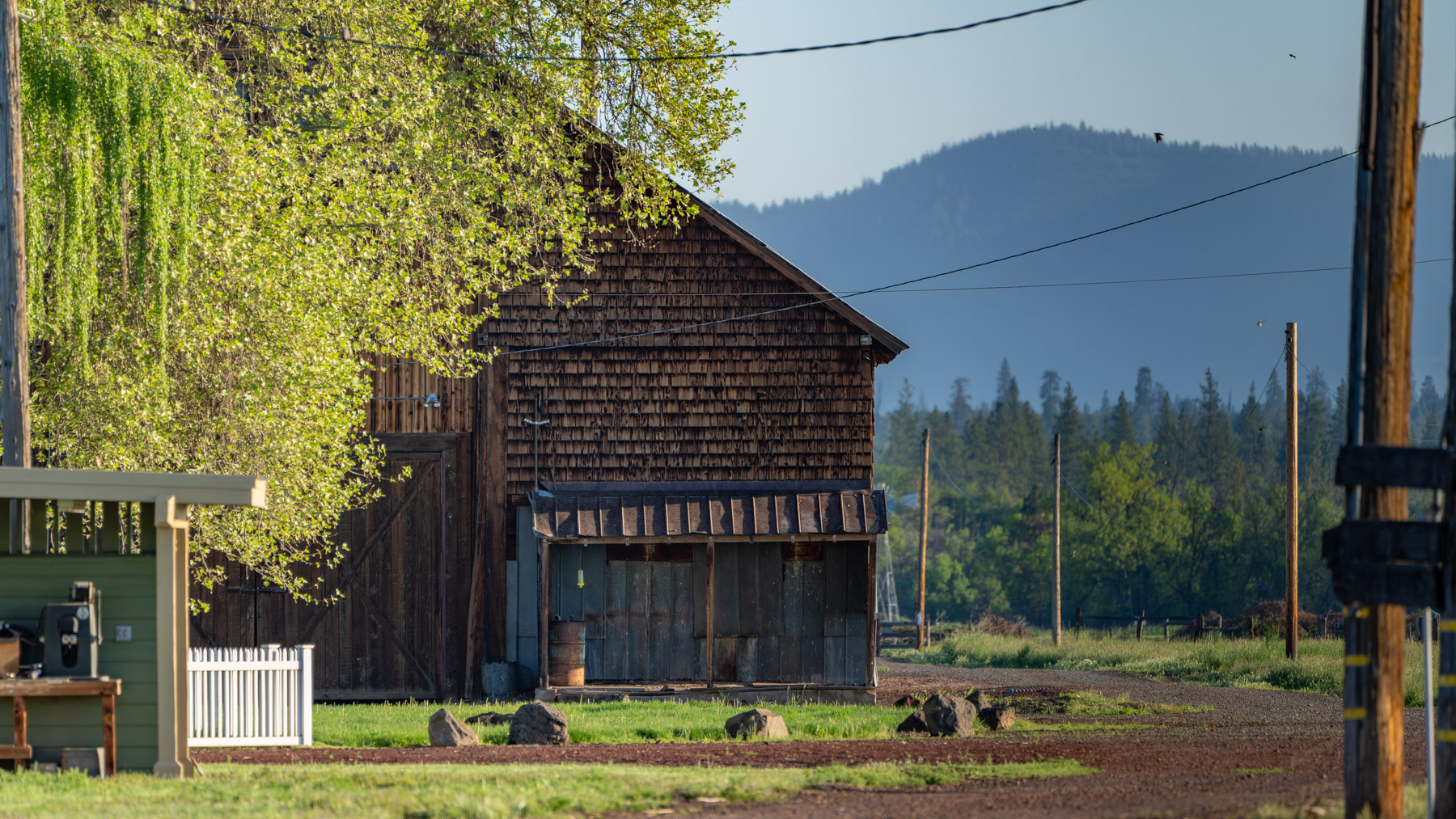 Island Ranch property picture 98 of 116