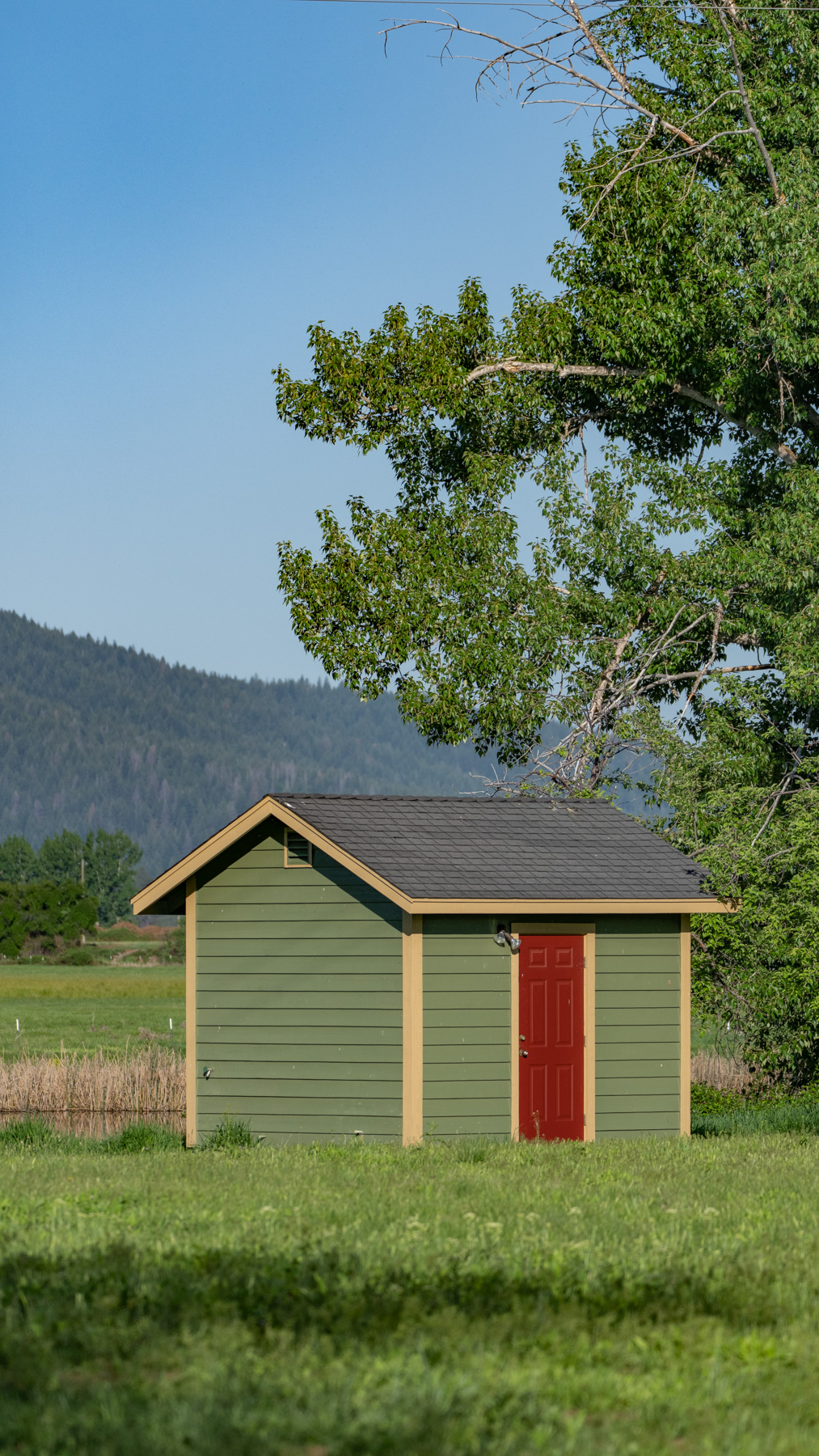 Island Ranch property picture 80 of 116