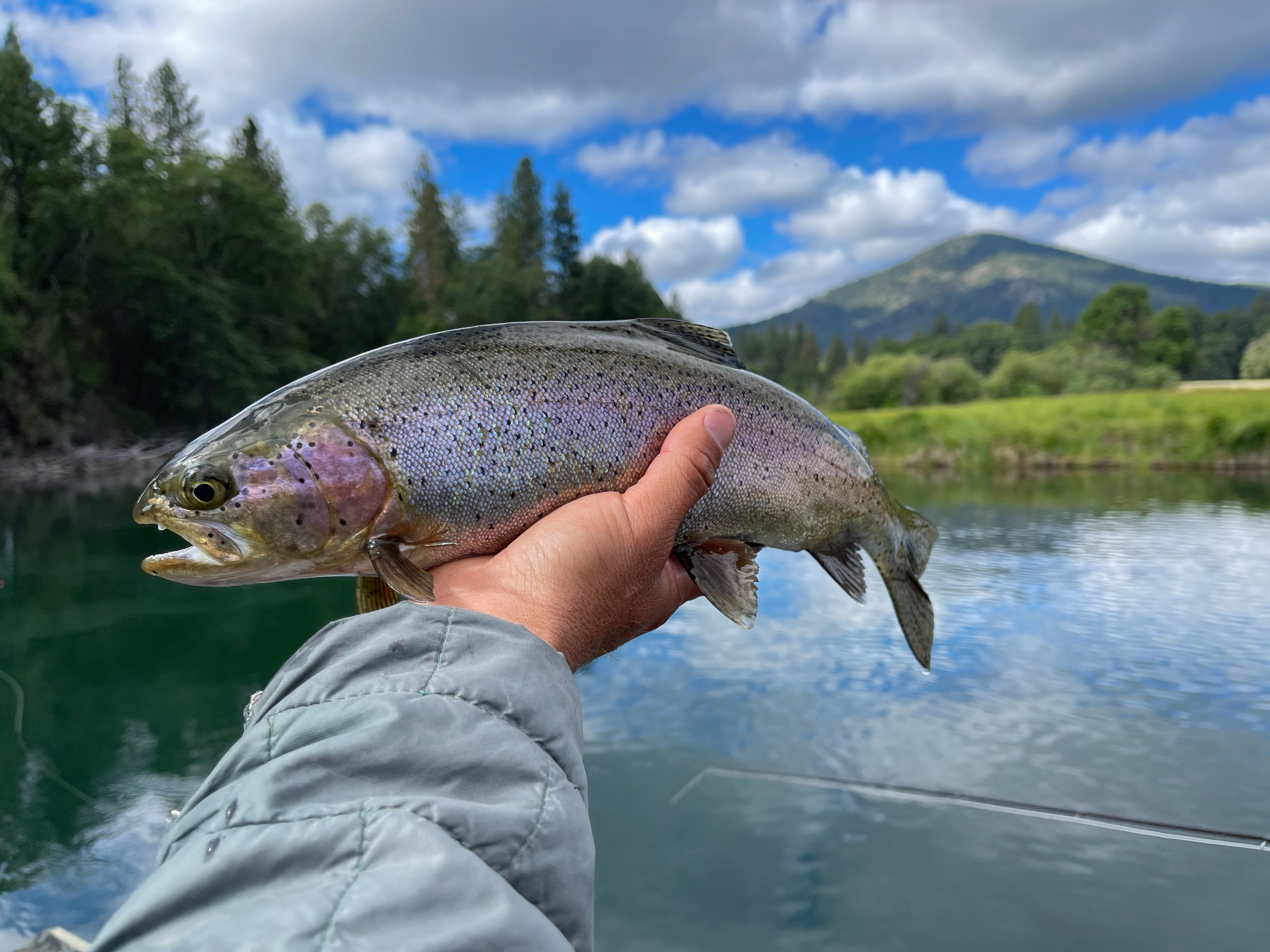 Island Ranch property picture 108 of 116