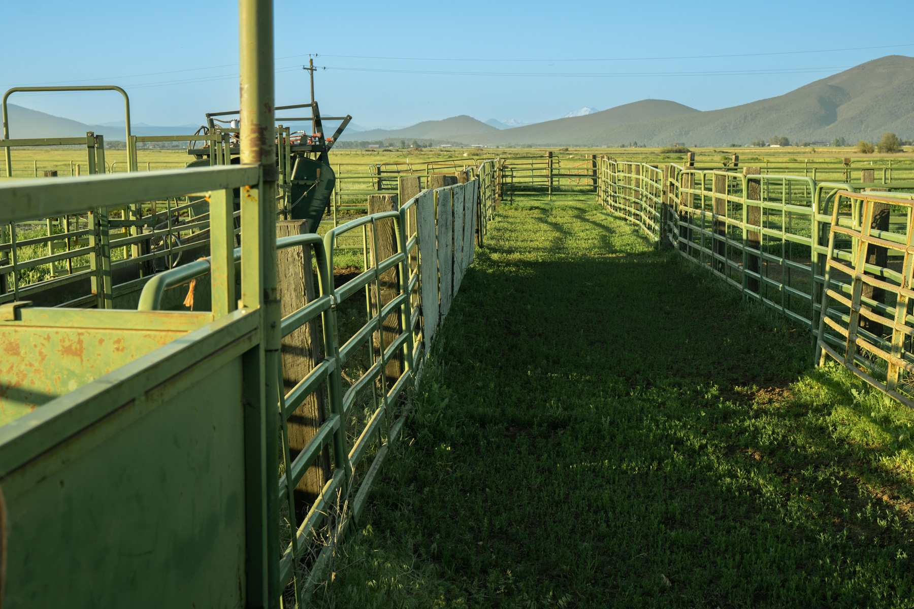 Island Ranch property picture 101 of 116