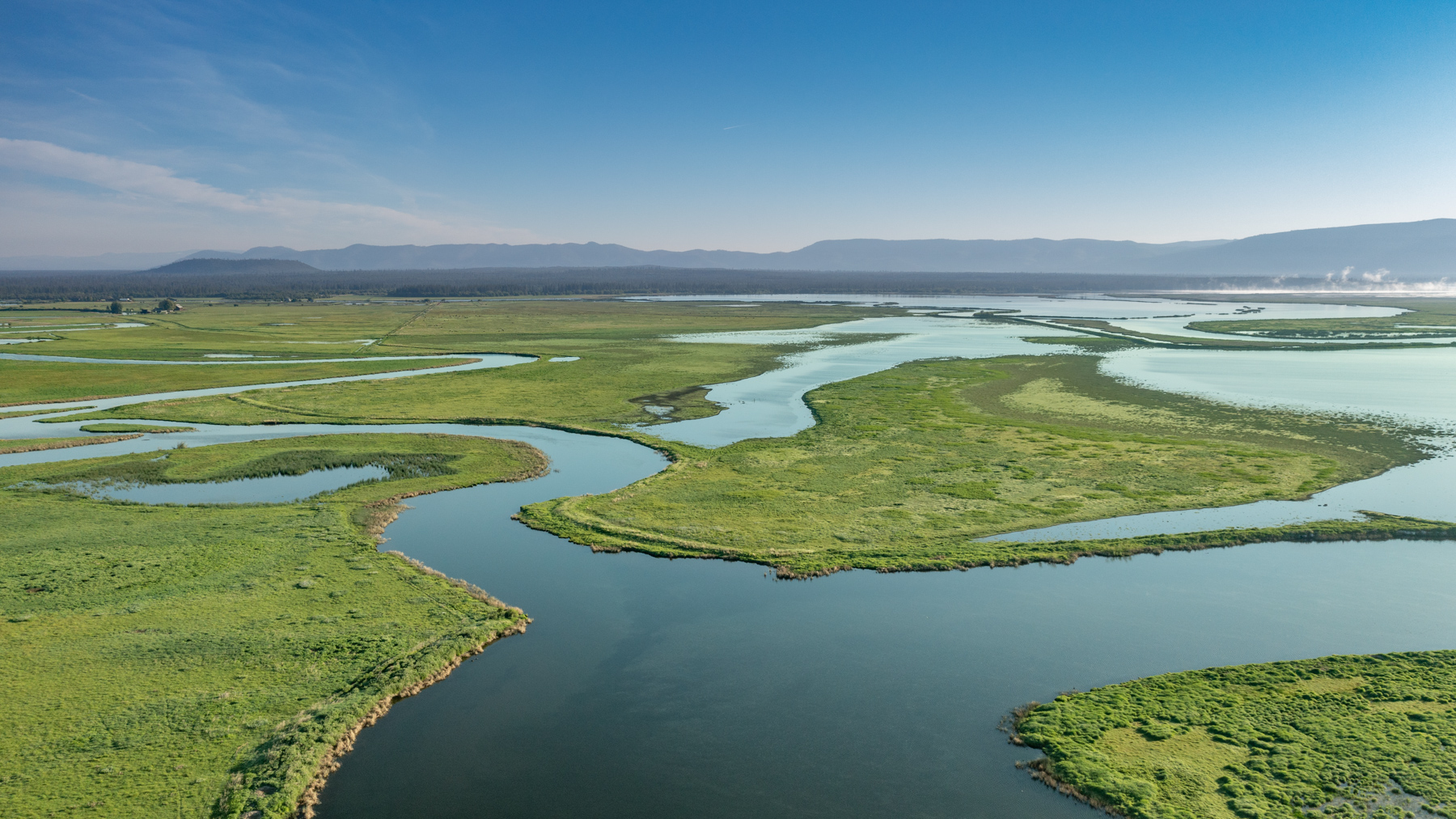 Island Ranch property picture 17 of 116