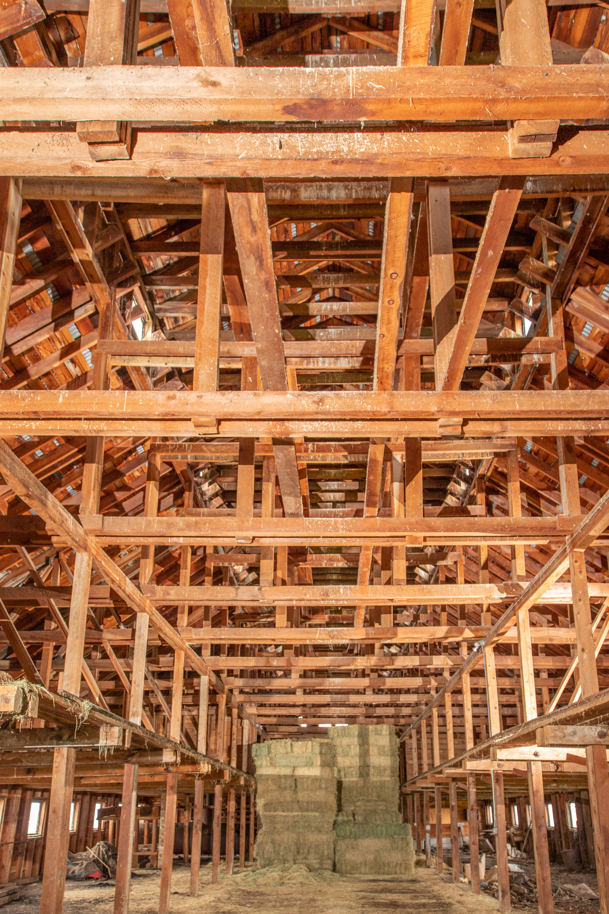 Island Ranch property picture 94 of 116