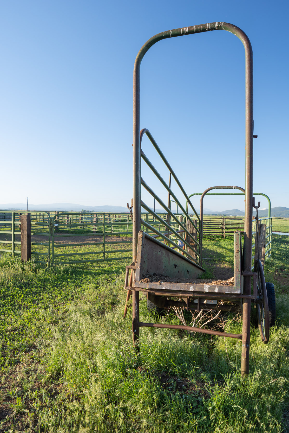 Island Ranch property picture 100 of 116