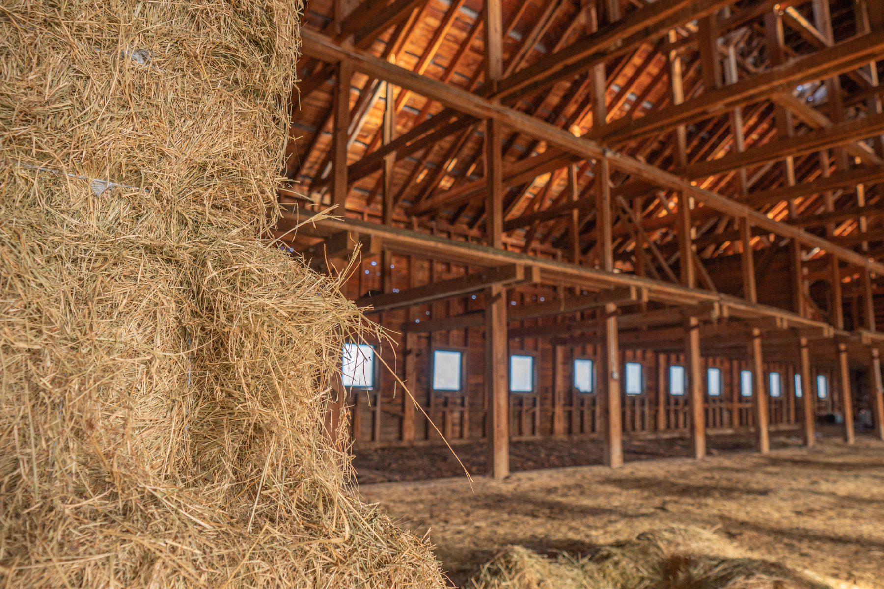 Island Ranch property picture 96 of 116