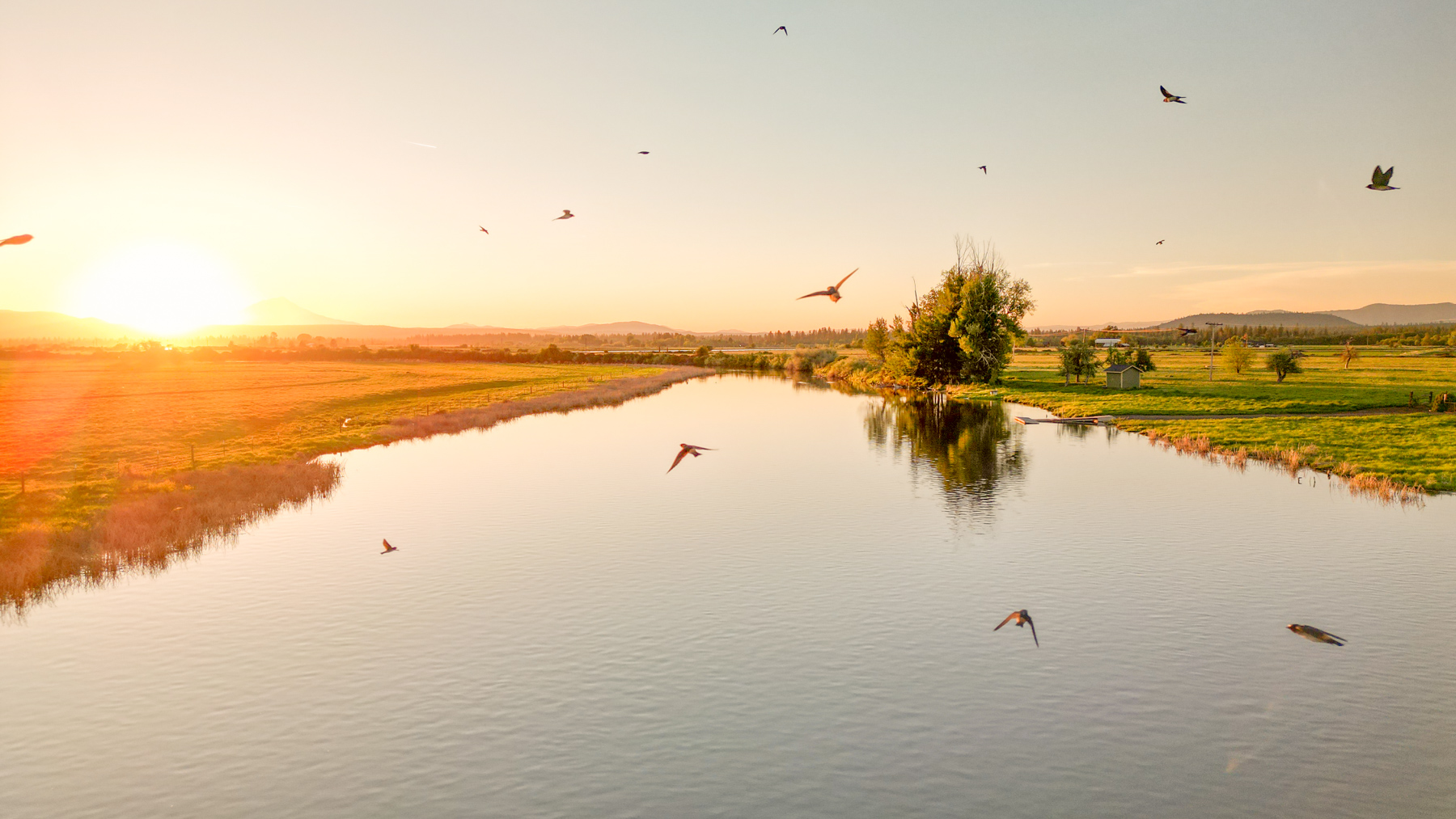 Island Ranch property picture 7 of 116