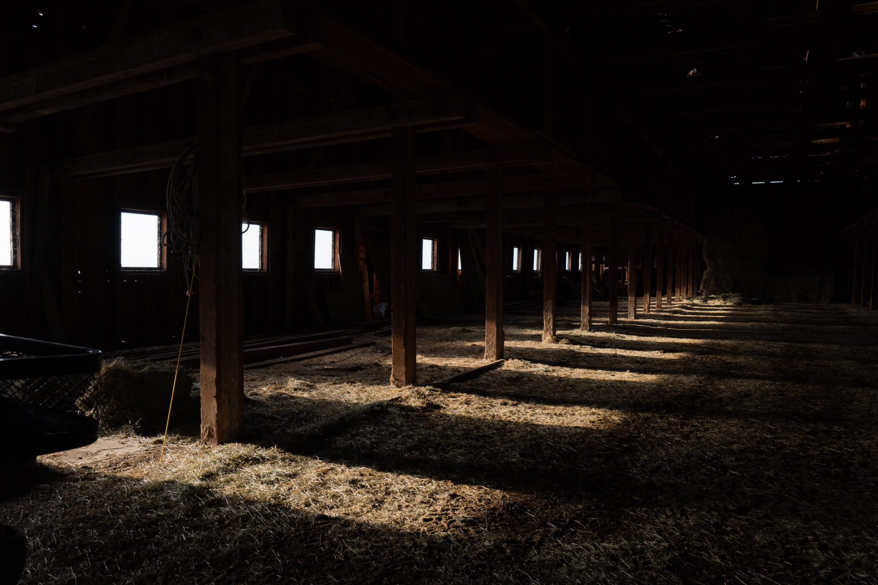 Island Ranch property picture 97 of 116