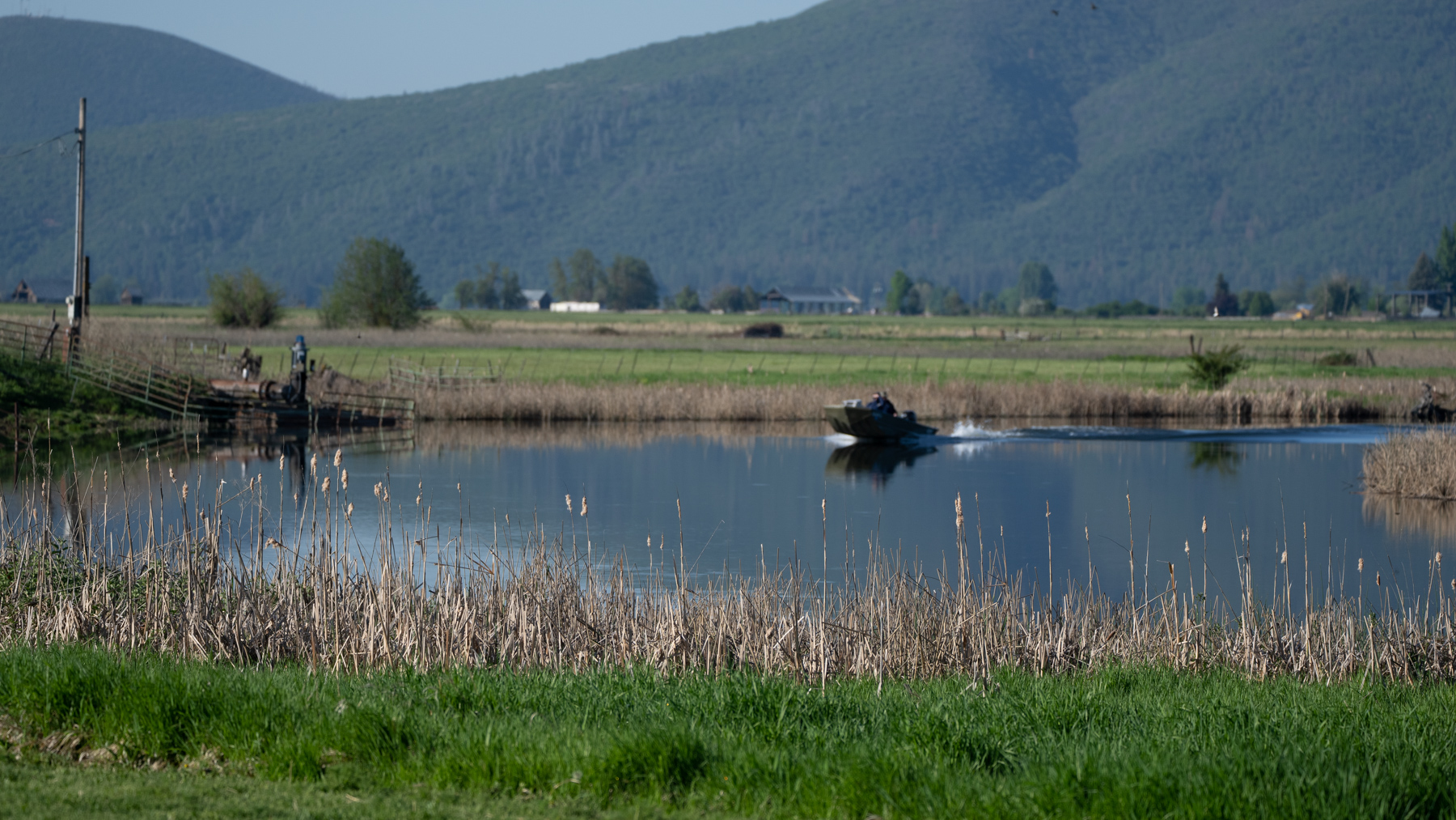 Island Ranch property picture 81 of 116