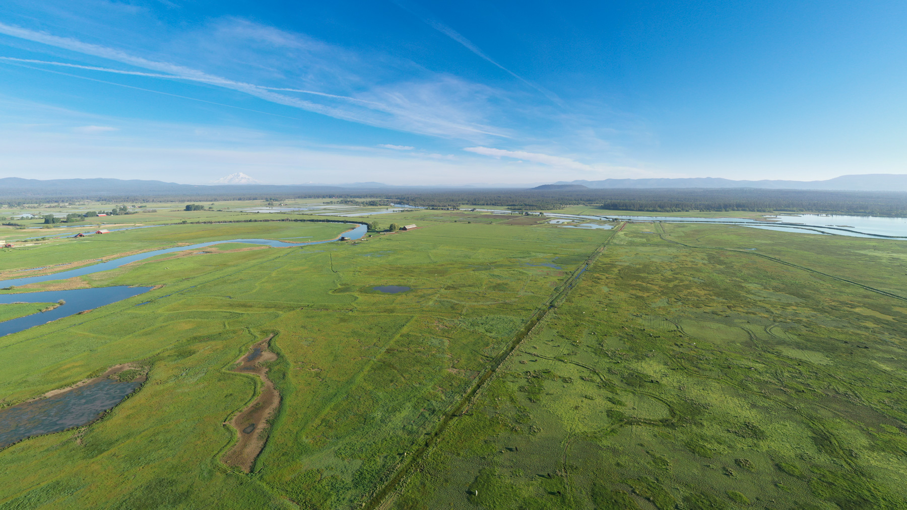 Island Ranch property picture 14 of 116