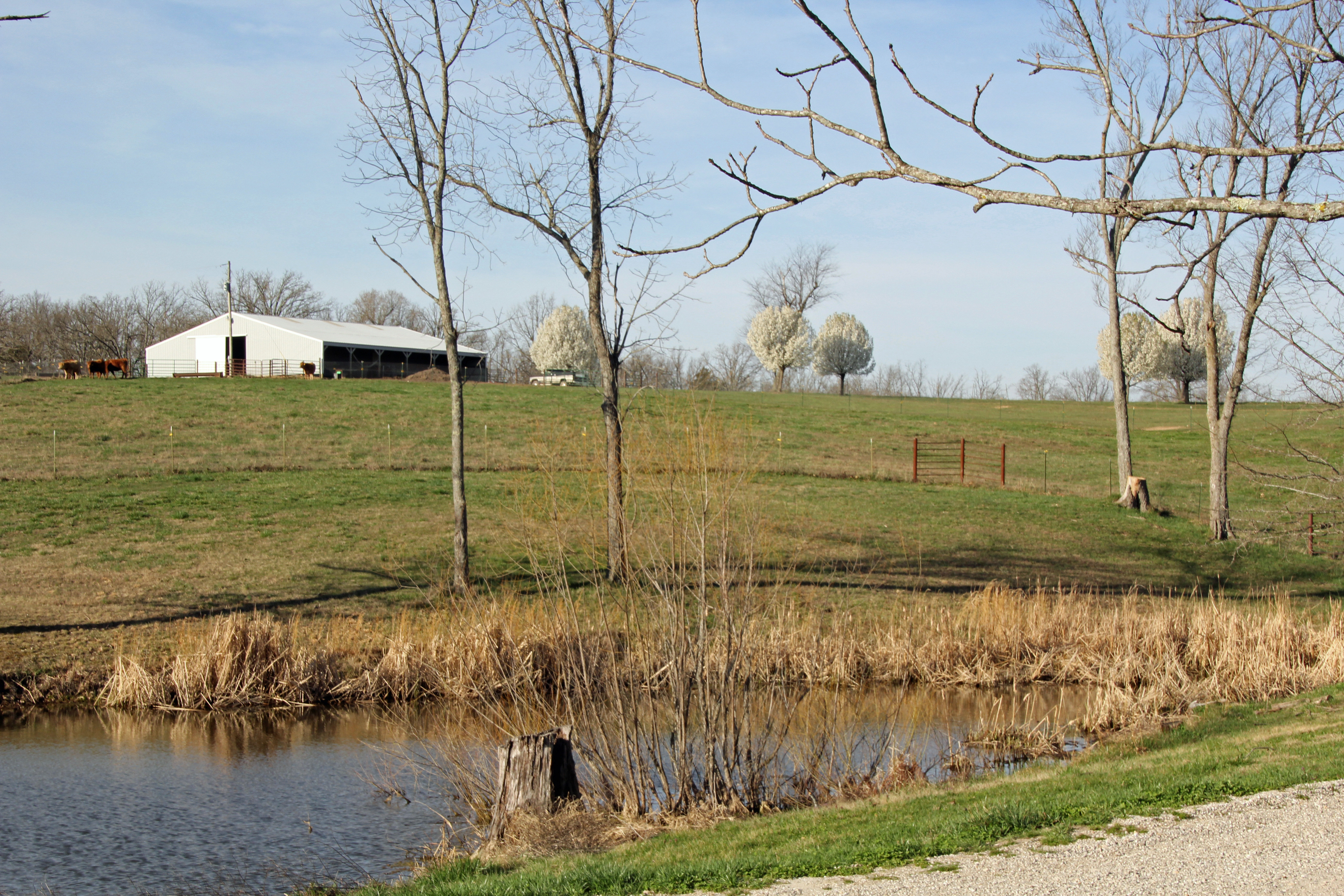 White Buffalo Ranch property picture 68 of 83