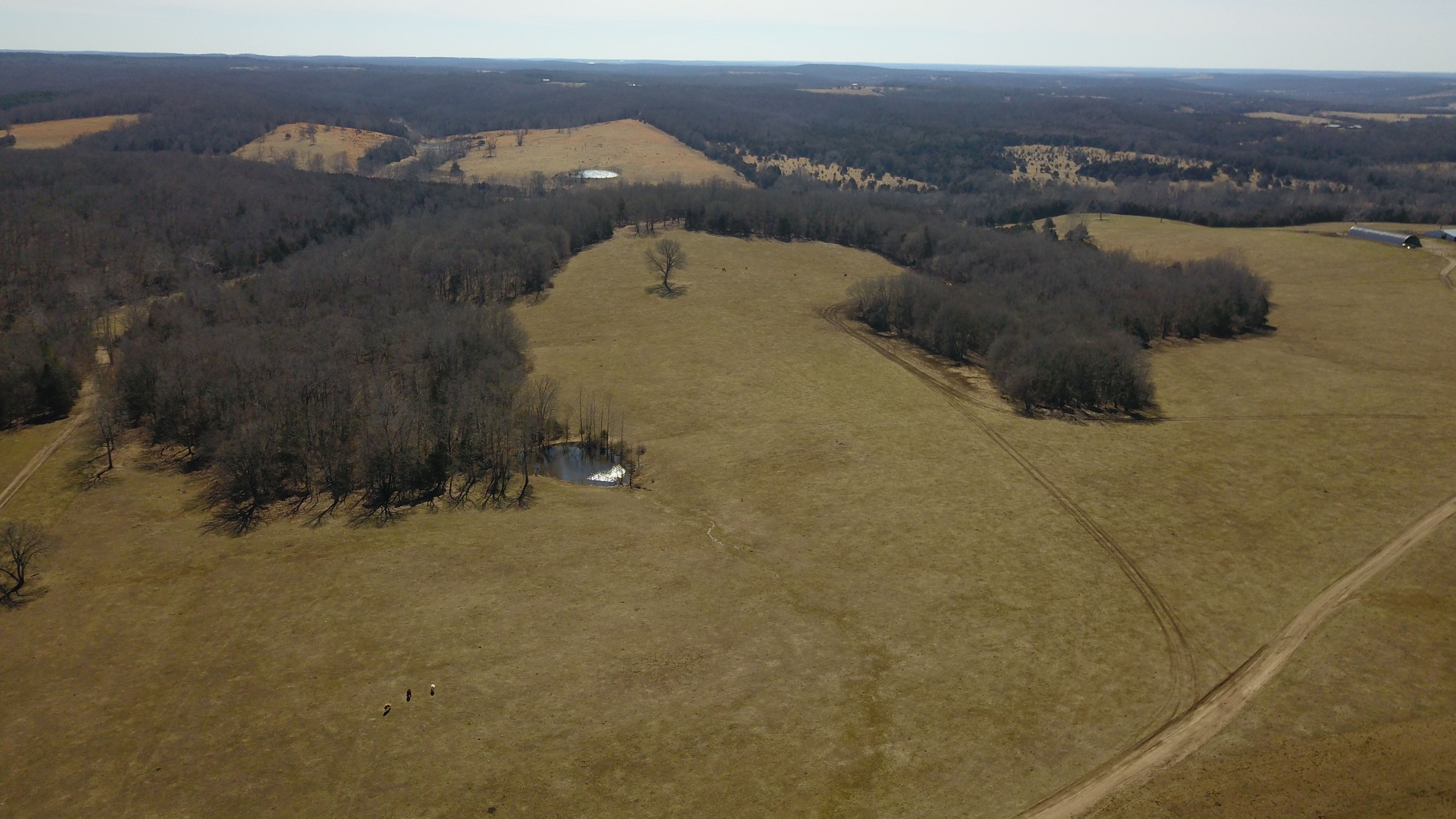 White Buffalo Ranch property picture 9 of 83