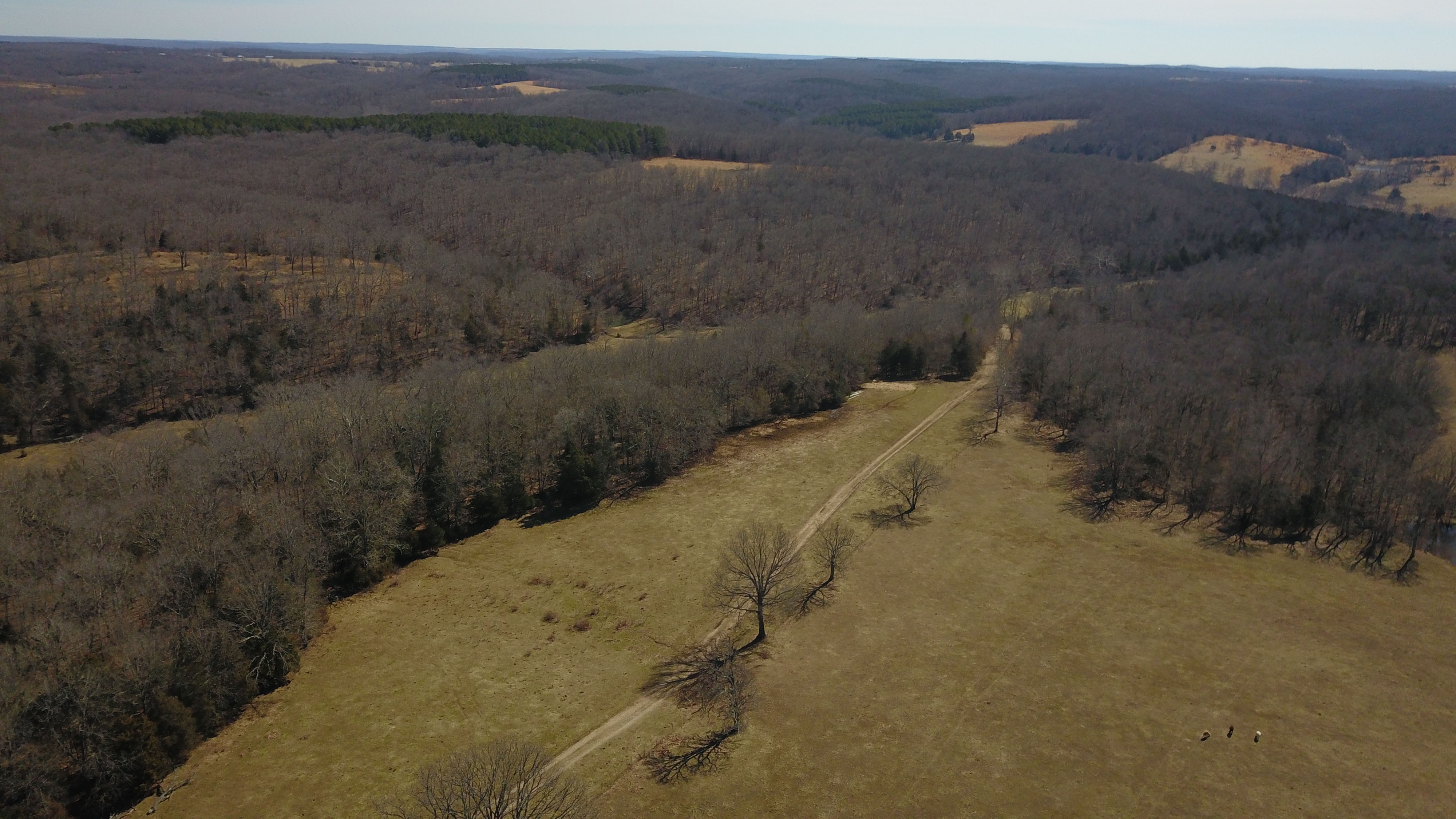 White Buffalo Ranch property picture 70 of 83
