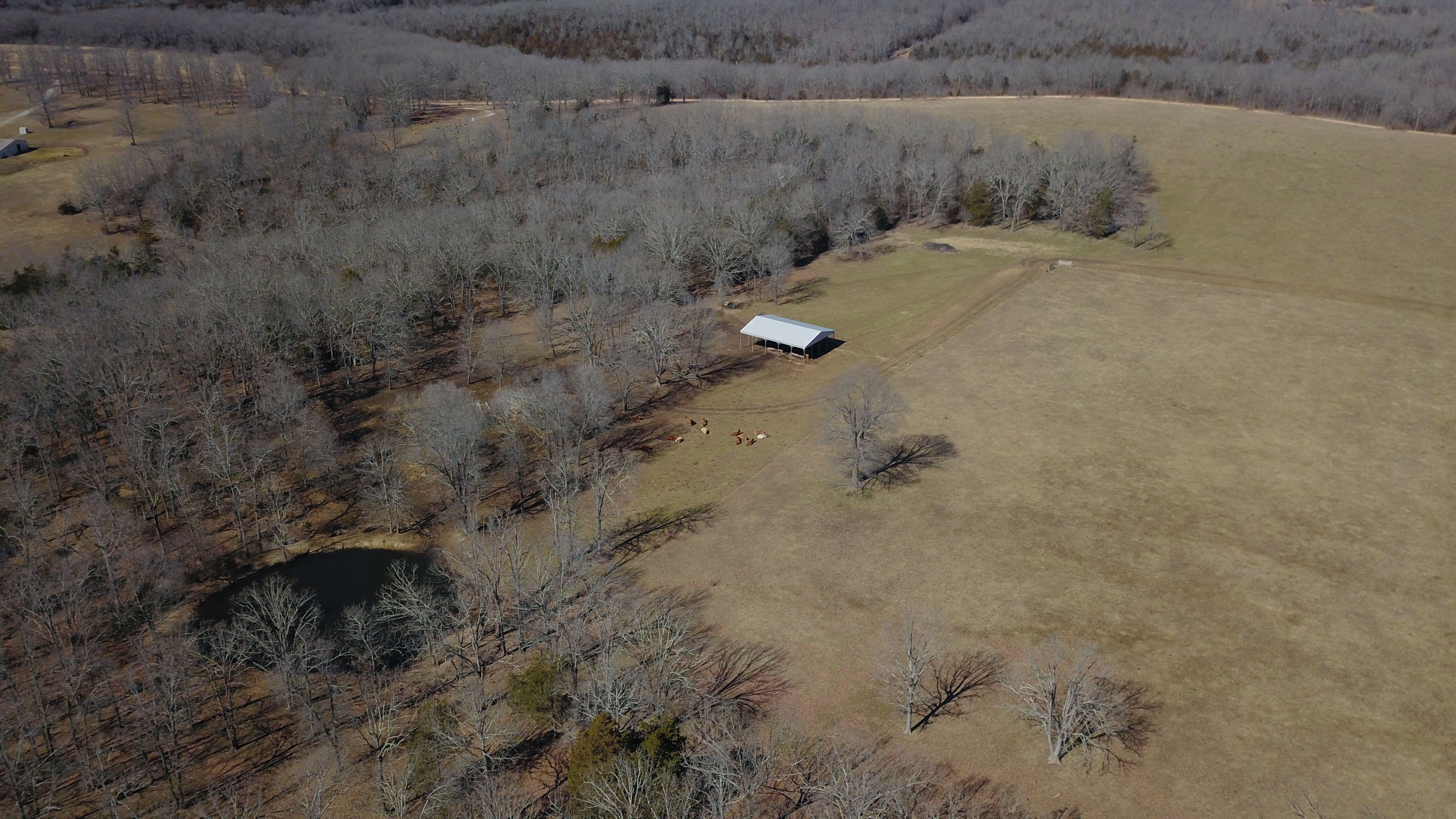 White Buffalo Ranch property picture 51 of 83