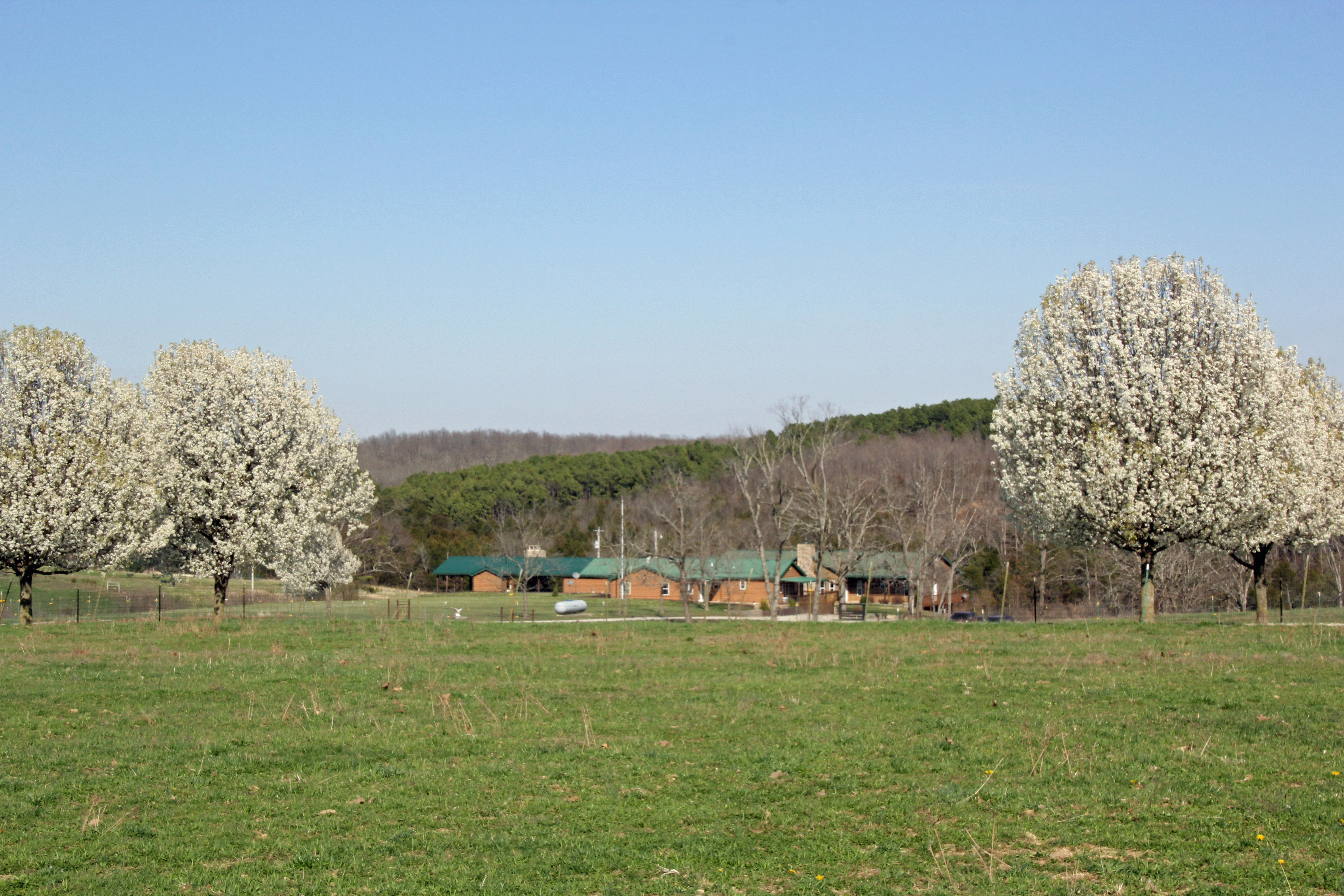 White Buffalo Ranch property picture 67 of 83