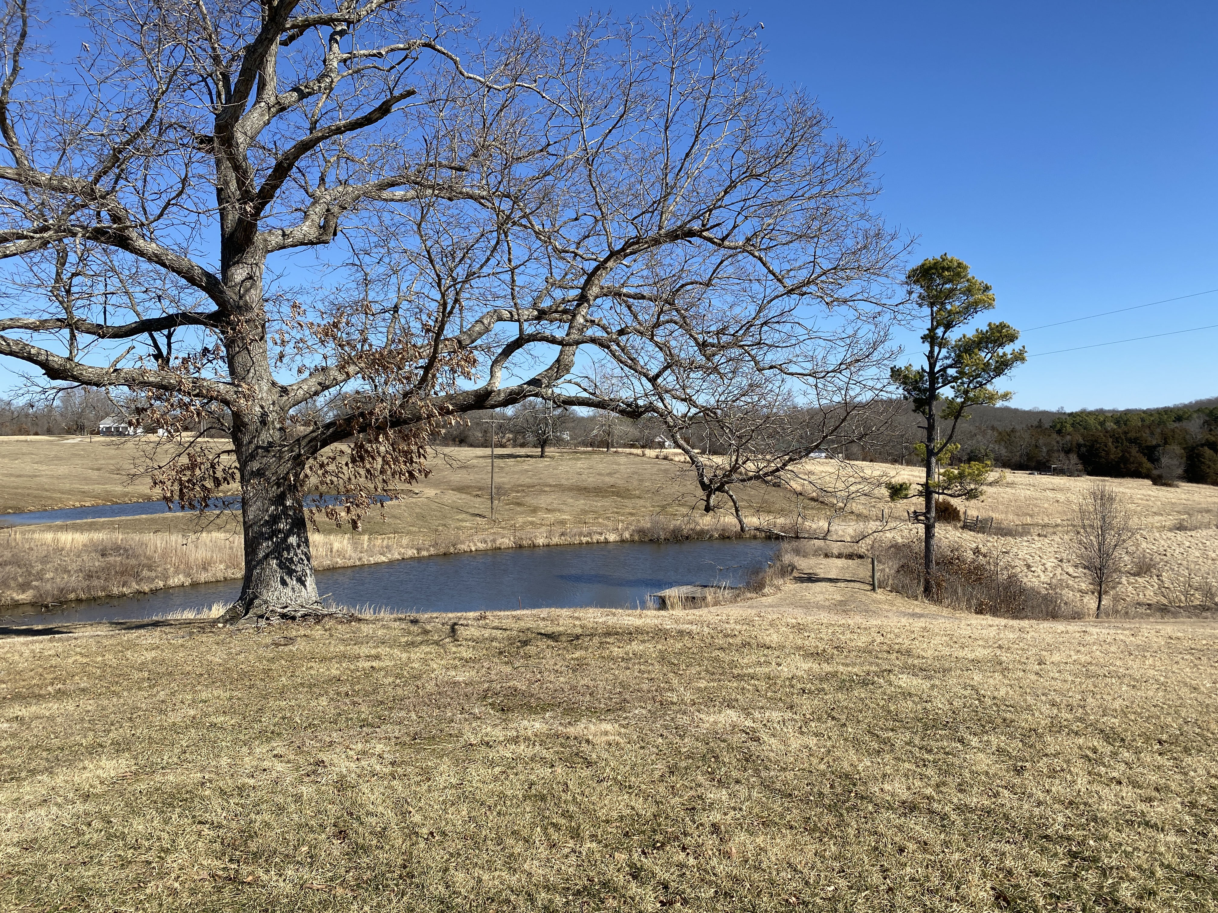 White Buffalo Ranch property picture 39 of 83