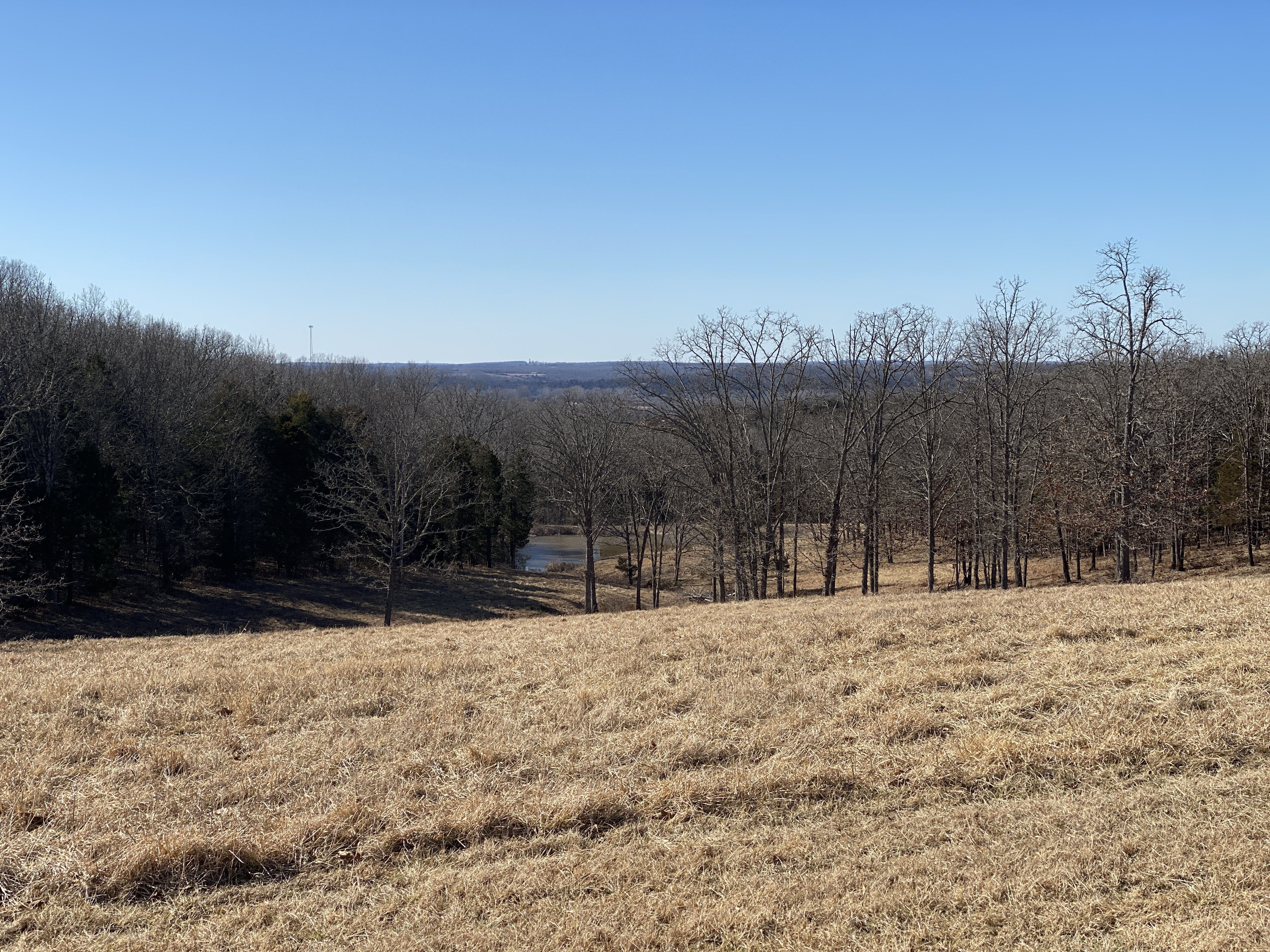 White Buffalo Ranch property picture 63 of 83