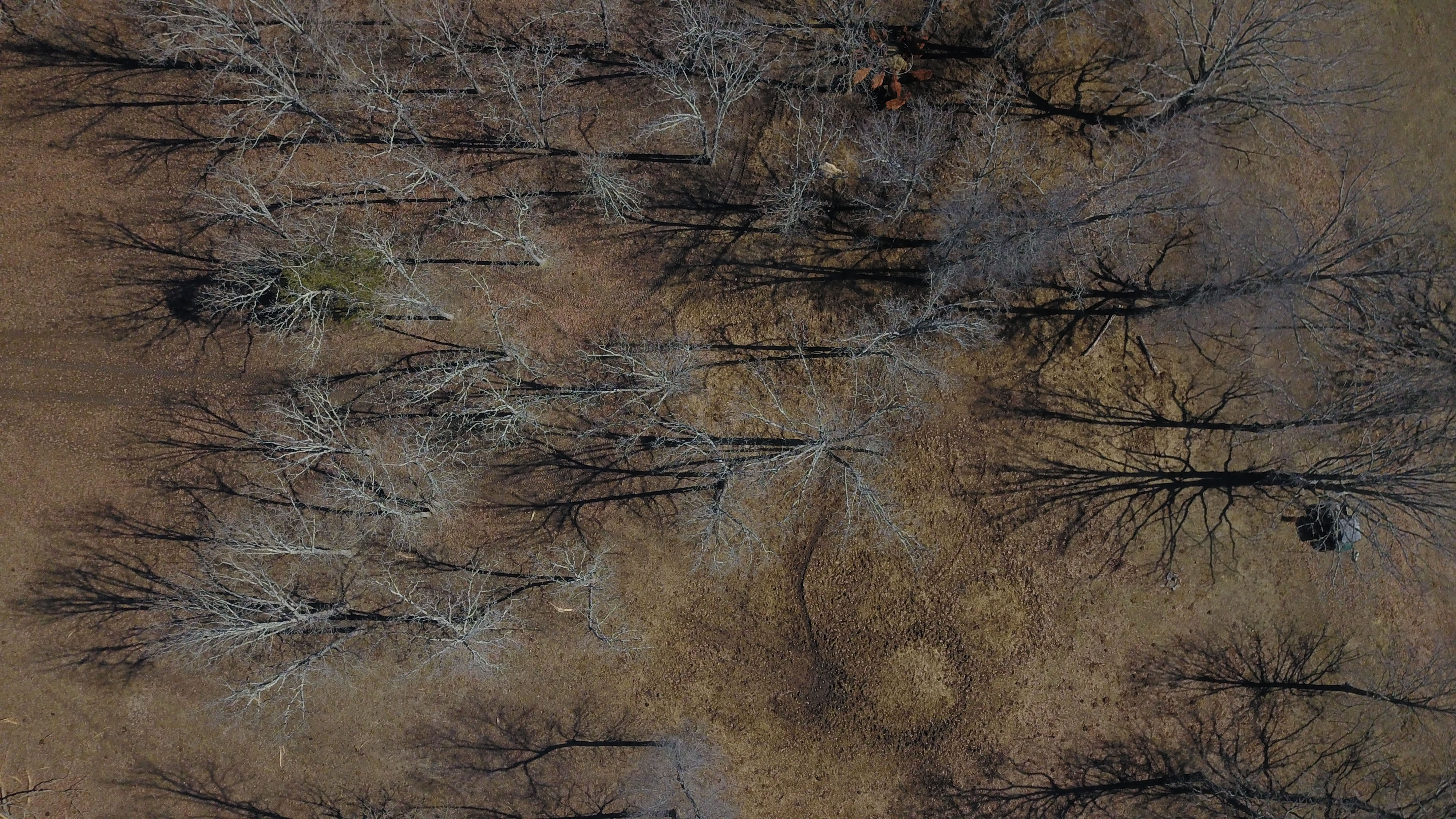 White Buffalo Ranch property picture 13 of 83