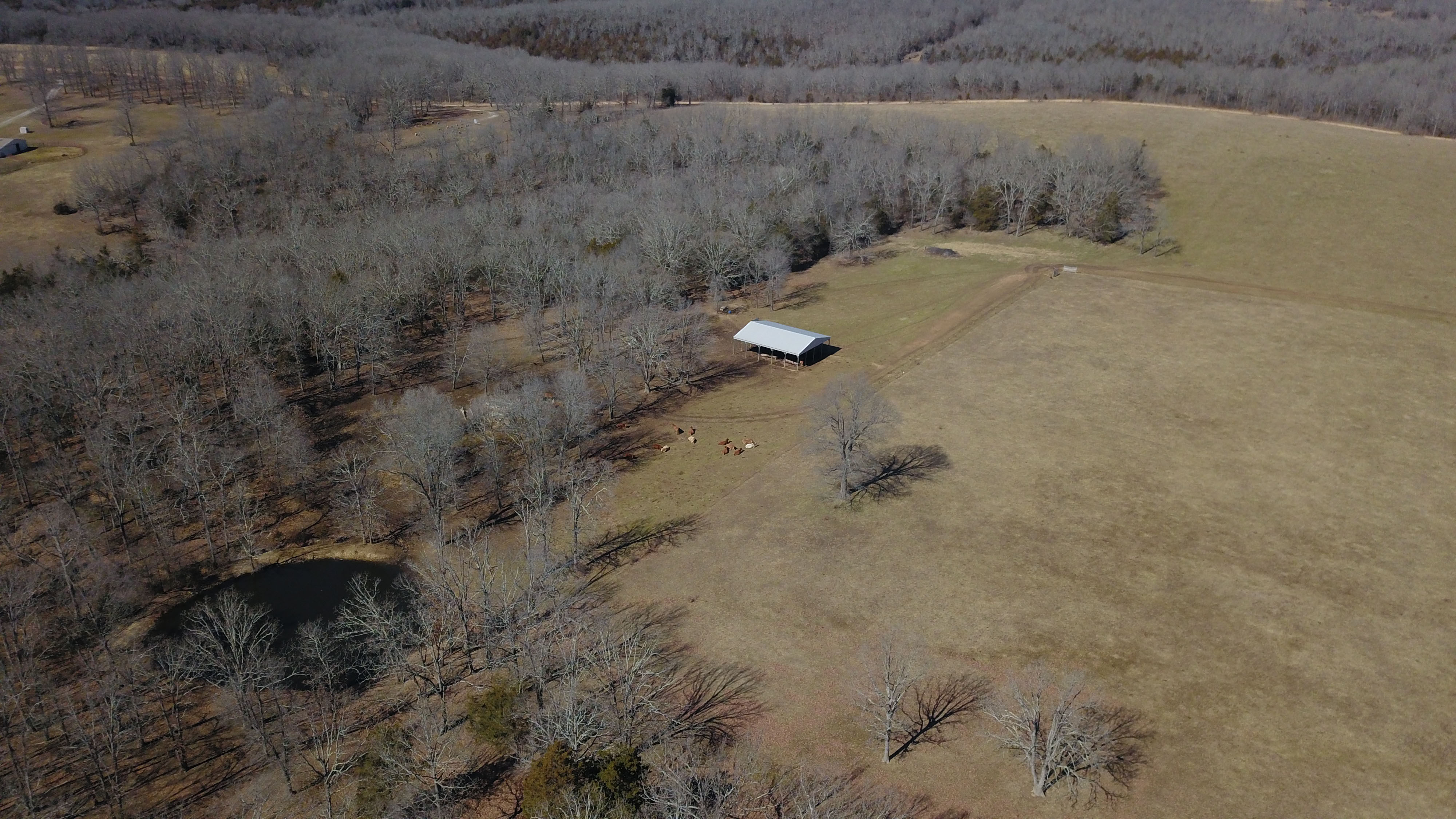 White Buffalo Ranch property picture 7 of 83