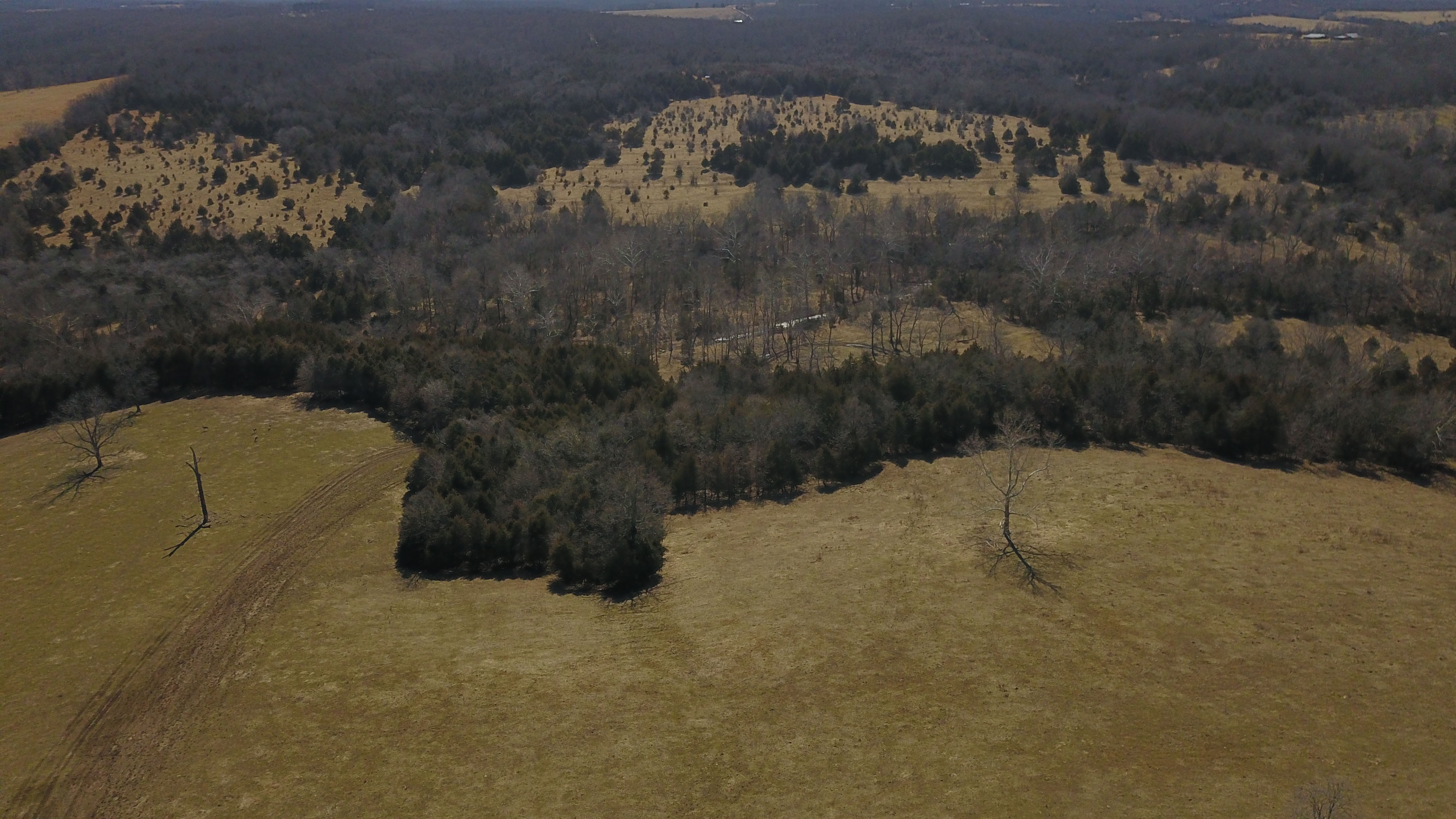 White Buffalo Ranch property picture 14 of 83