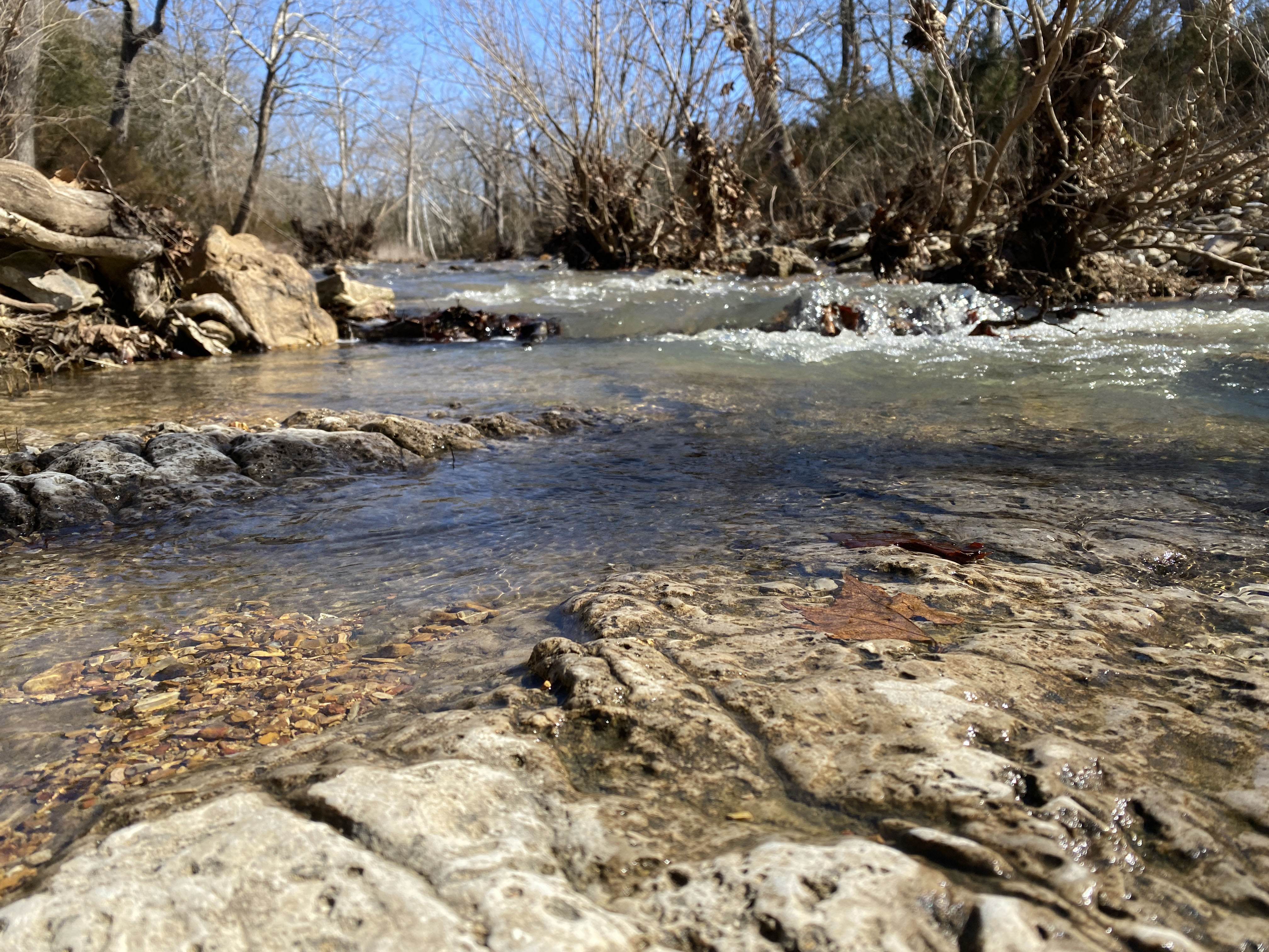 White Buffalo Ranch property picture 62 of 83
