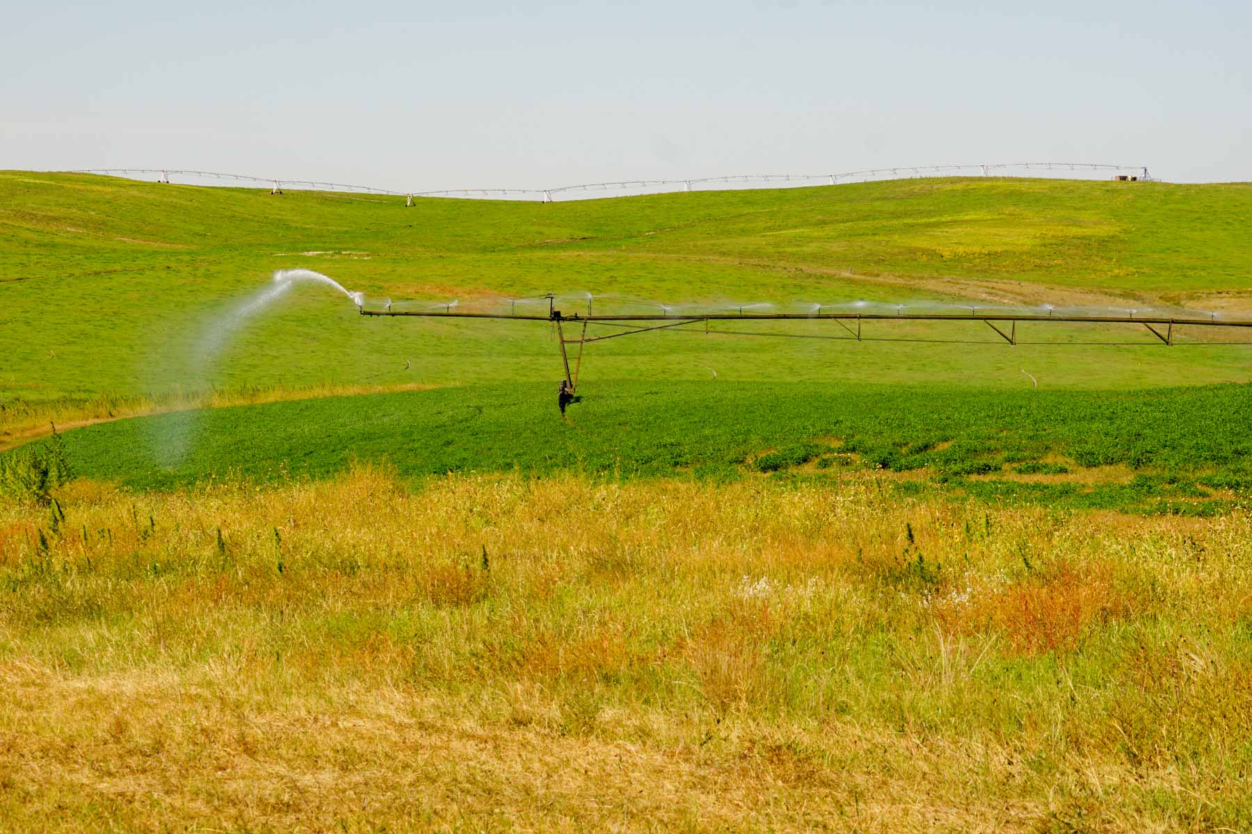 Whitetail Farm property picture 23 of 55
