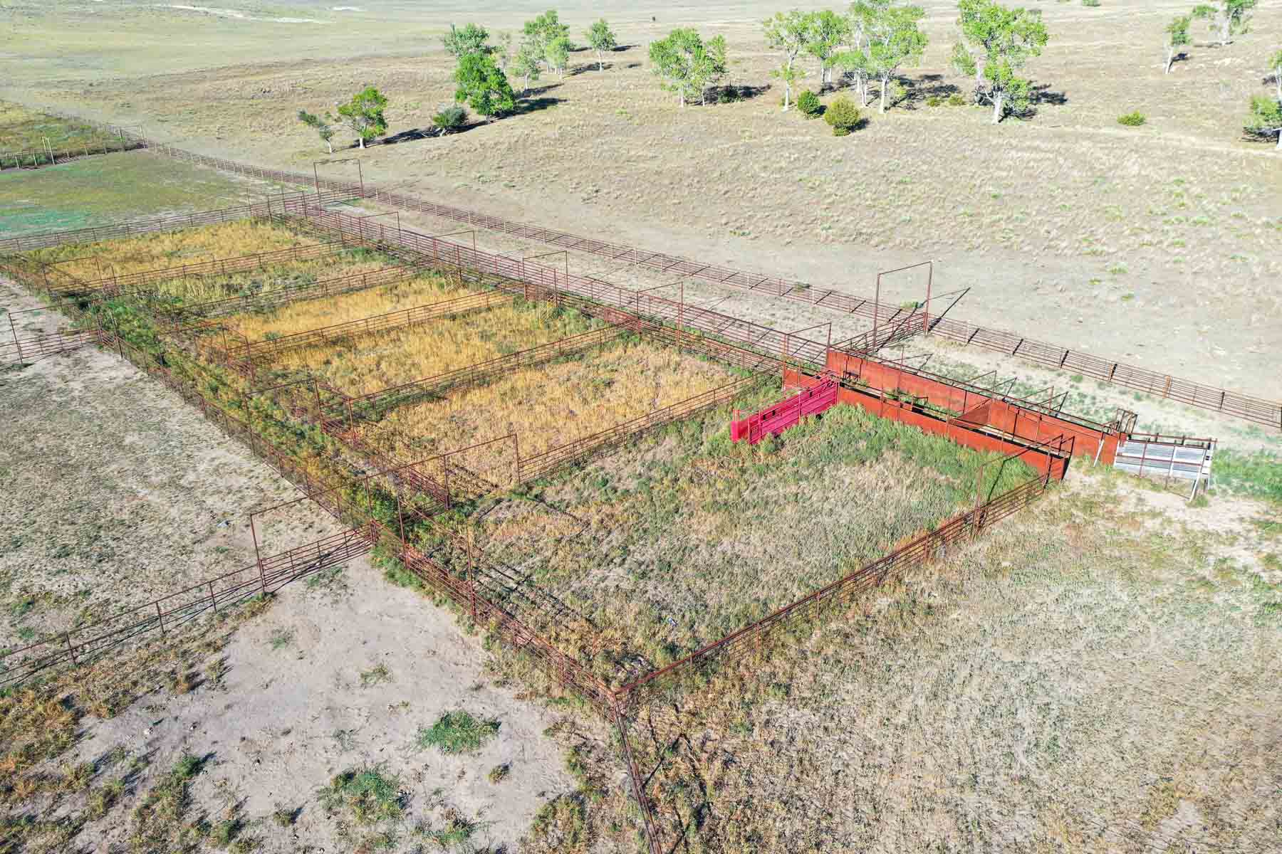 Whitetail Farm property picture 53 of 55