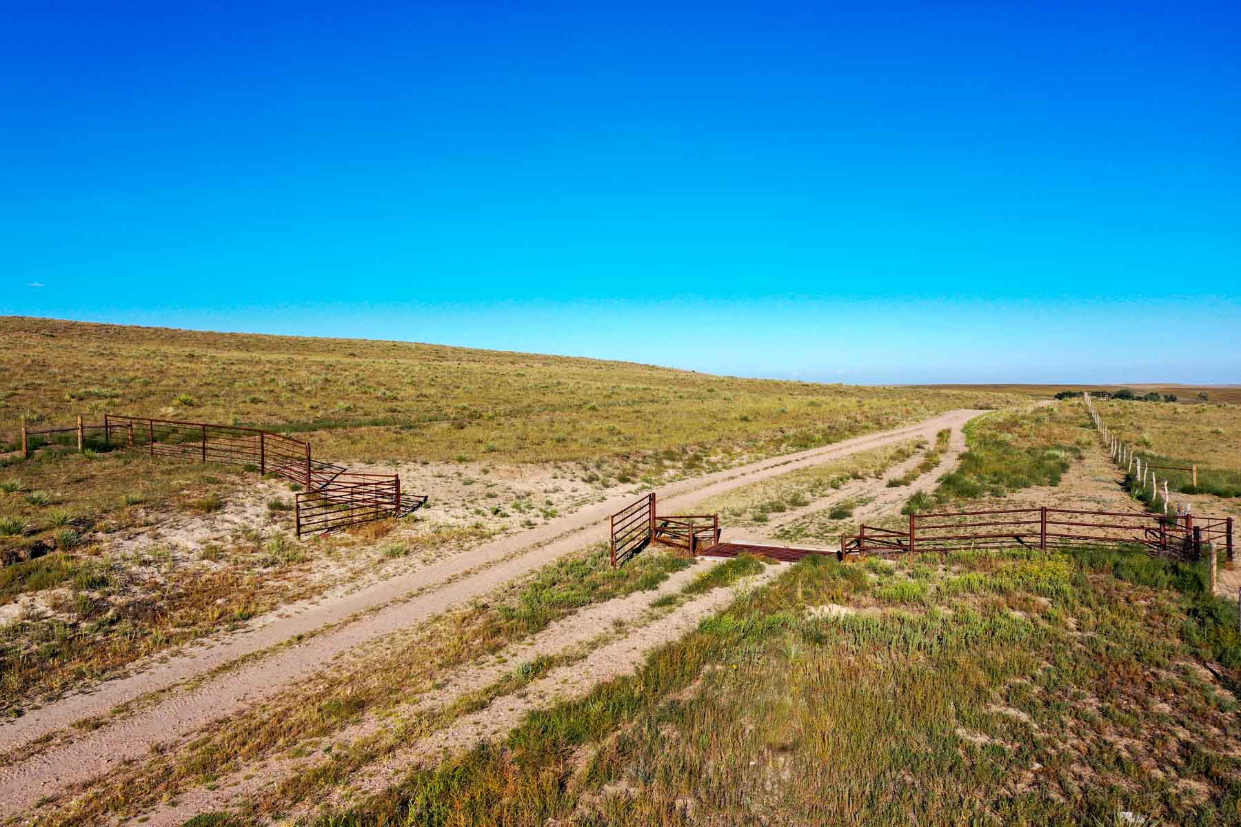 Whitetail Farm property picture 46 of 55