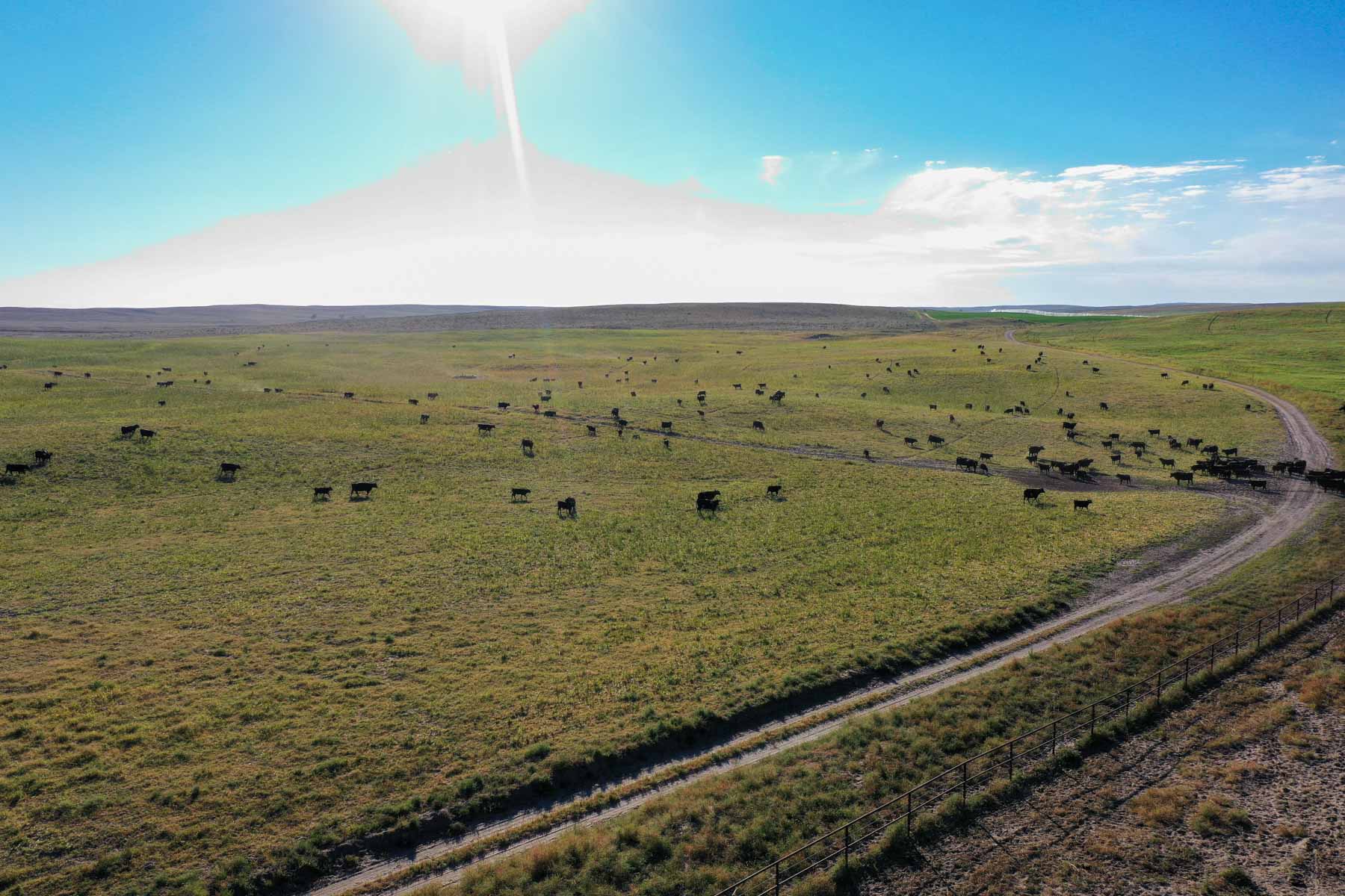 Whitetail Farm property picture 55 of 55