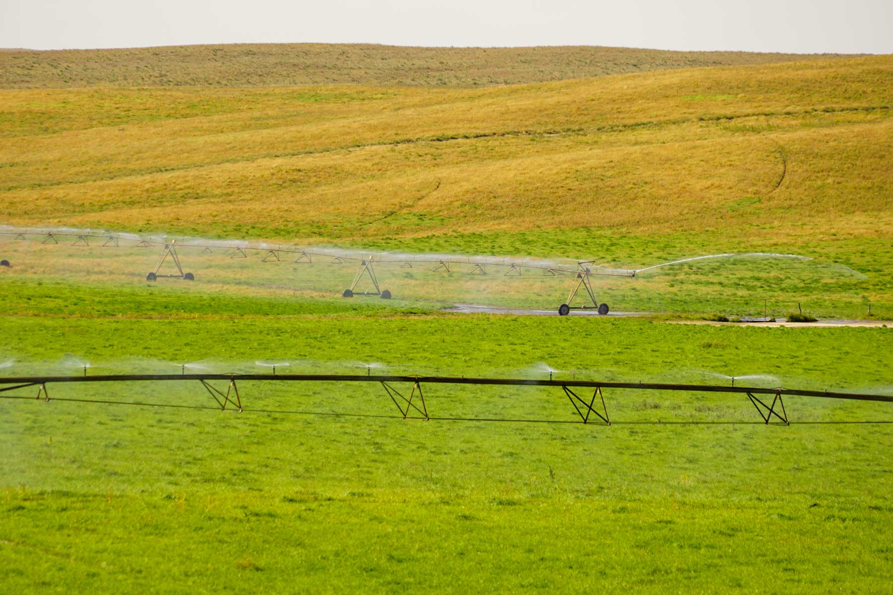 Whitetail Farm property picture 27 of 55