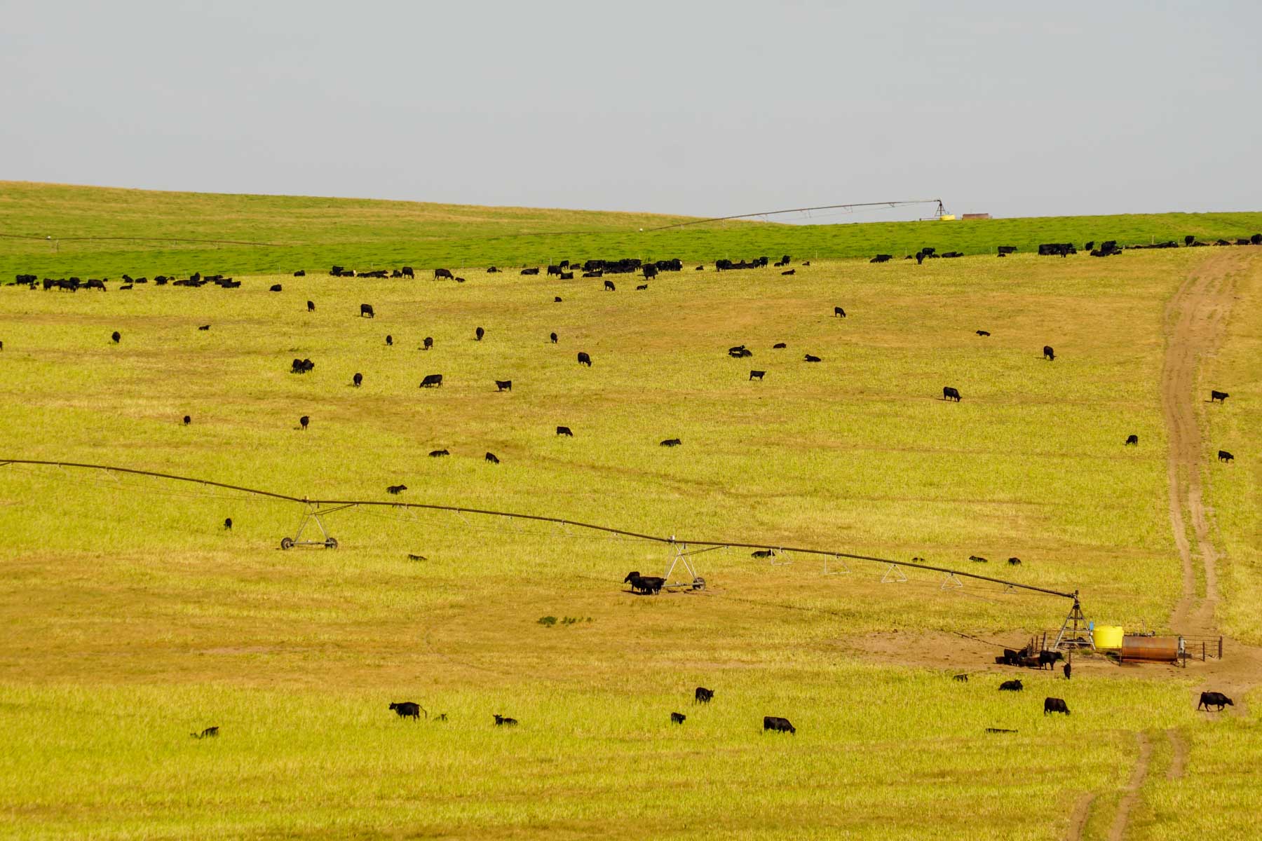 Whitetail Farm property picture 38 of 55