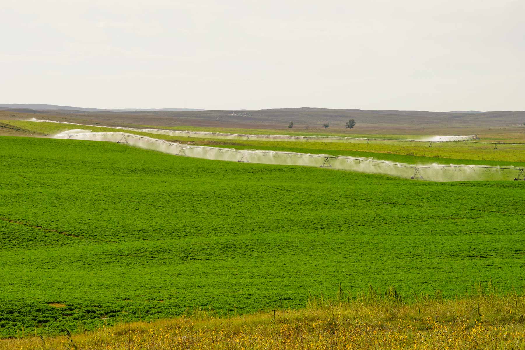 Whitetail Farm property picture 43 of 55