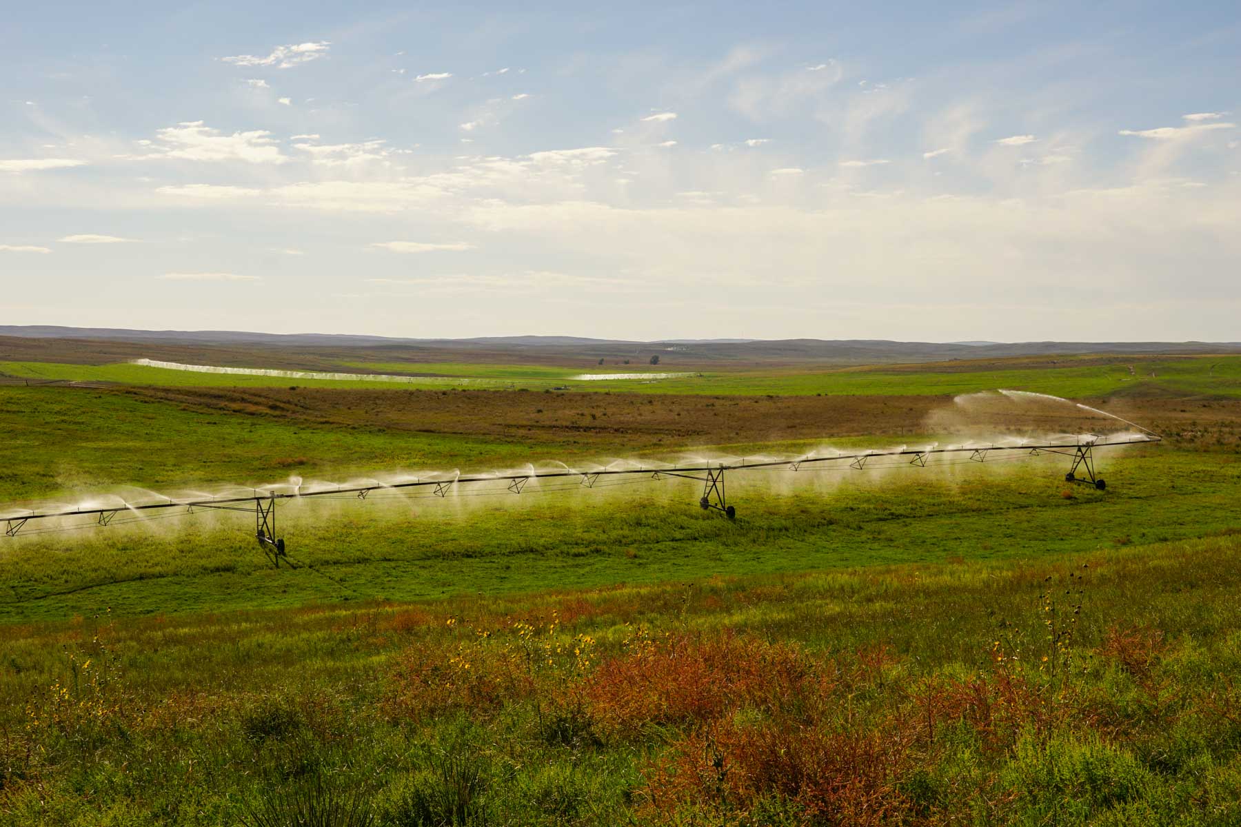 Whitetail Farm property picture 36 of 55