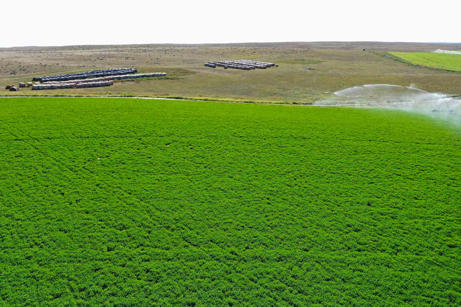 Whitetail Farm property picture 19 of 55